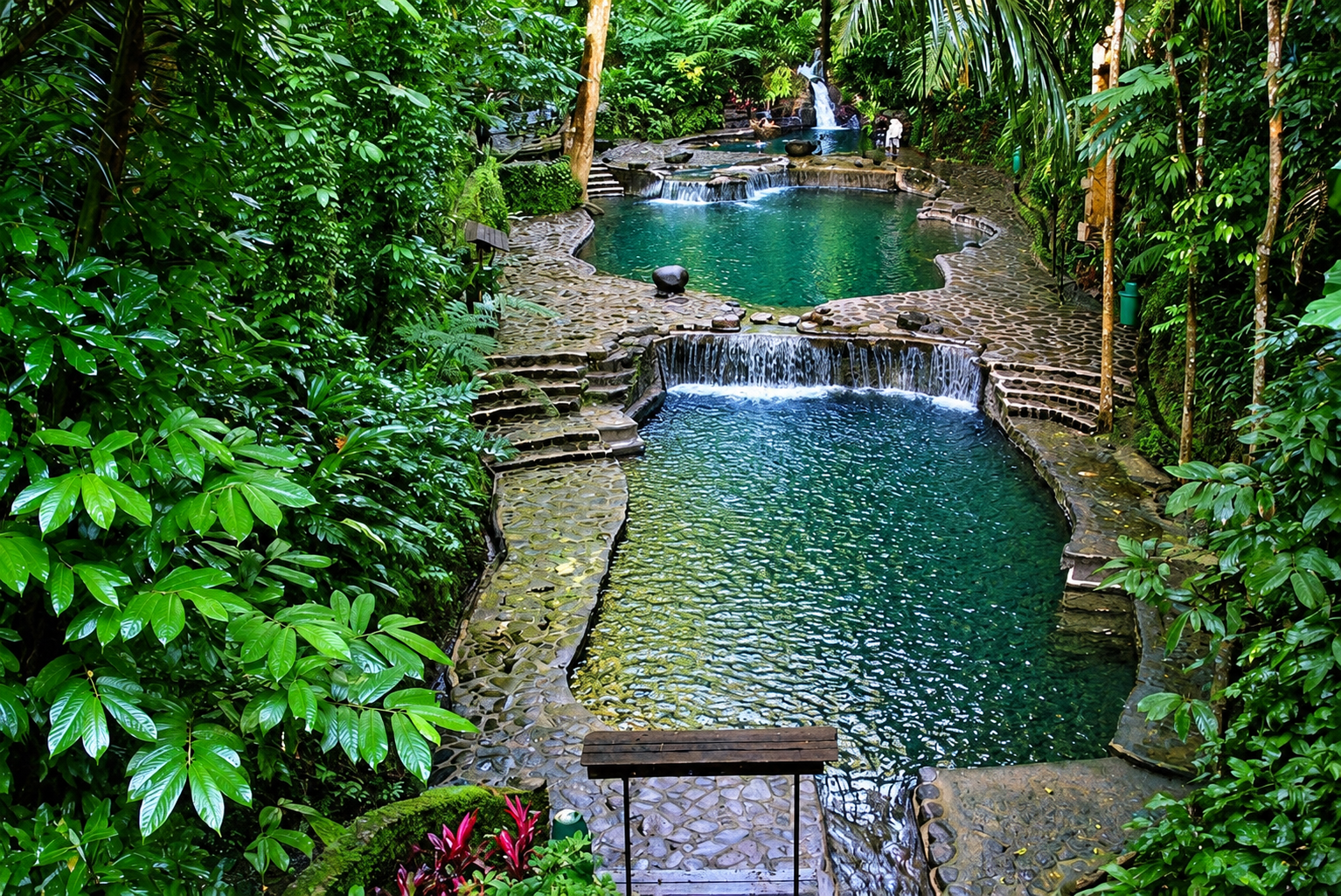 Manila: Hidden Valley Springs Day Tour with Lunch 3