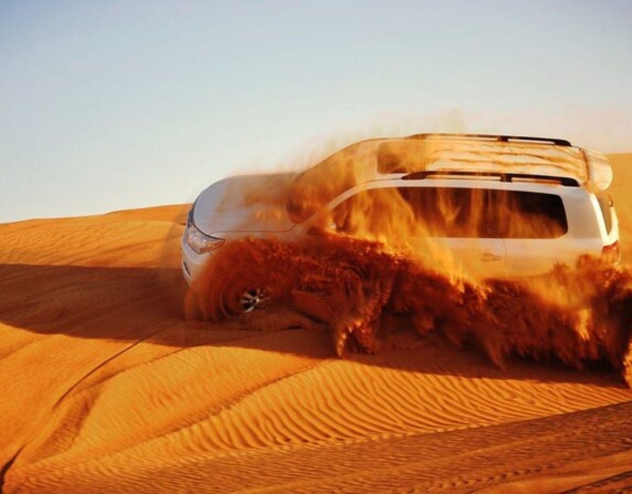 Doha InlandSea Desert Tour with Camels,Falcon & SandBoarding 2