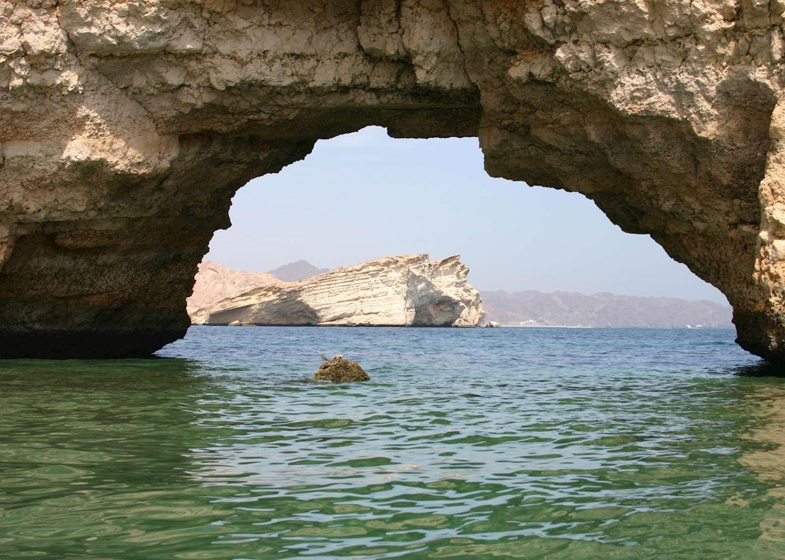 Muscat: Dolphin Watching, Whale Watching & Snorkeling Experience 3