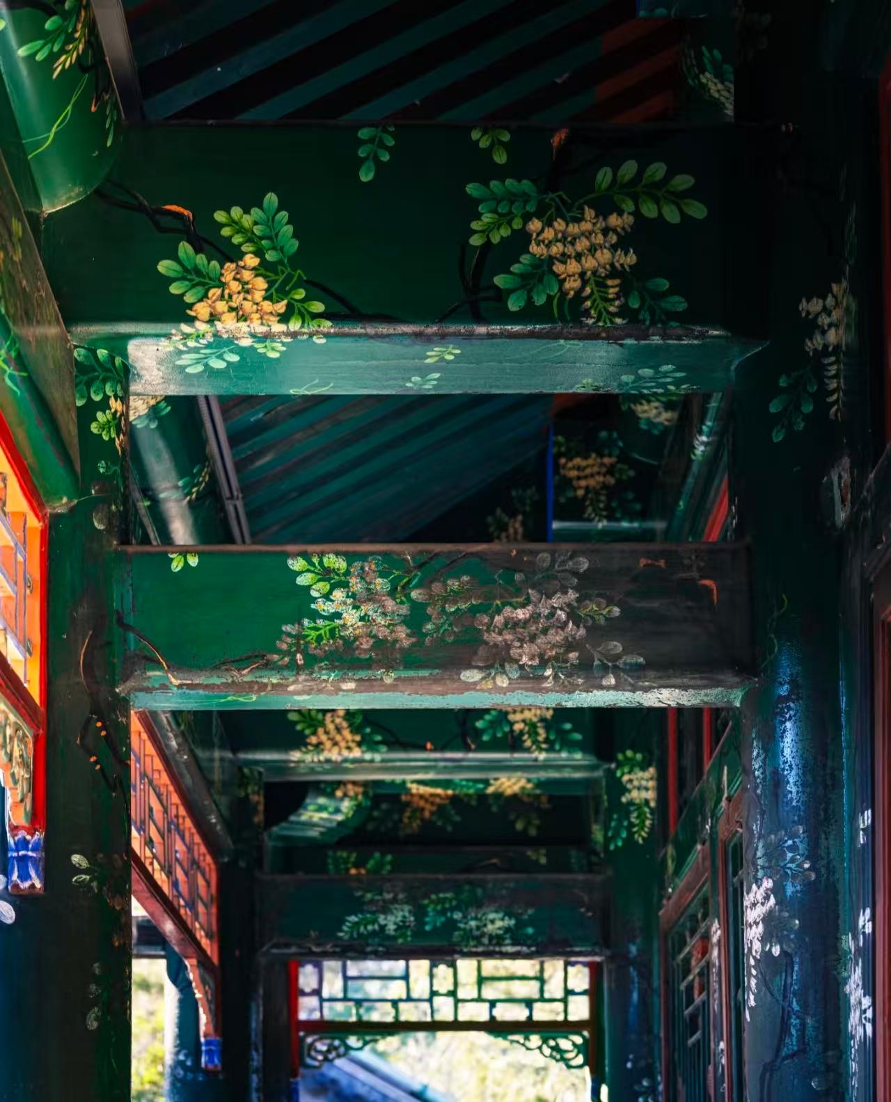 Beijing: Forbidden City & Summer Palace Tour (PEK/PKX/Hotel) 2