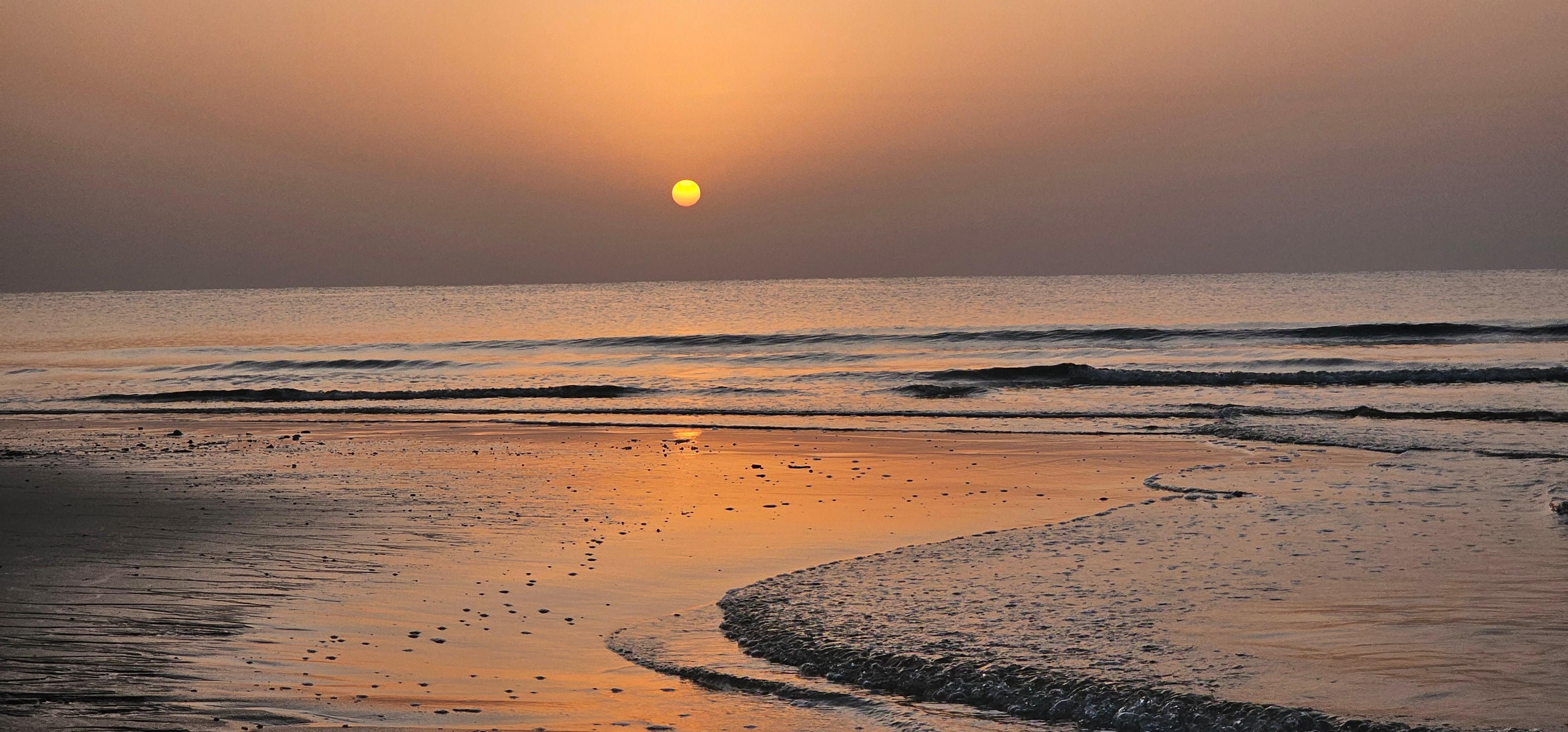 Doha Sunrise/Sunset or Night Stargazing desert safari. 3