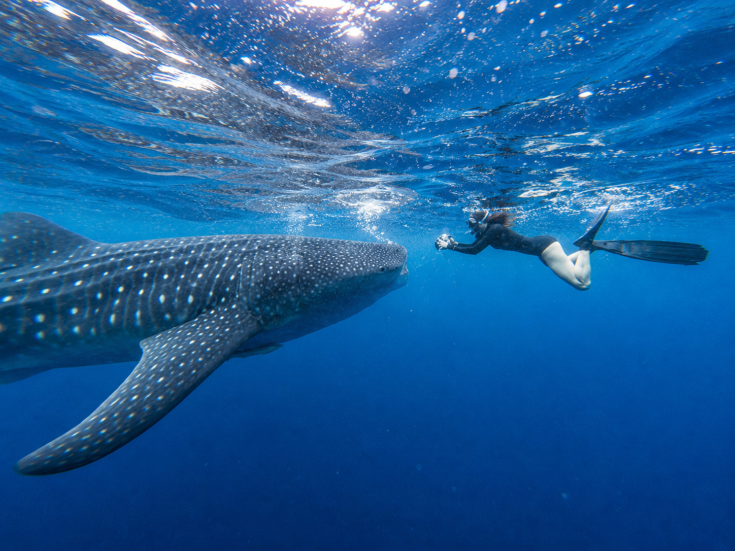 Cebu: 2-Day Wild South Odyssey – Reefs, Falls & Canyons 2