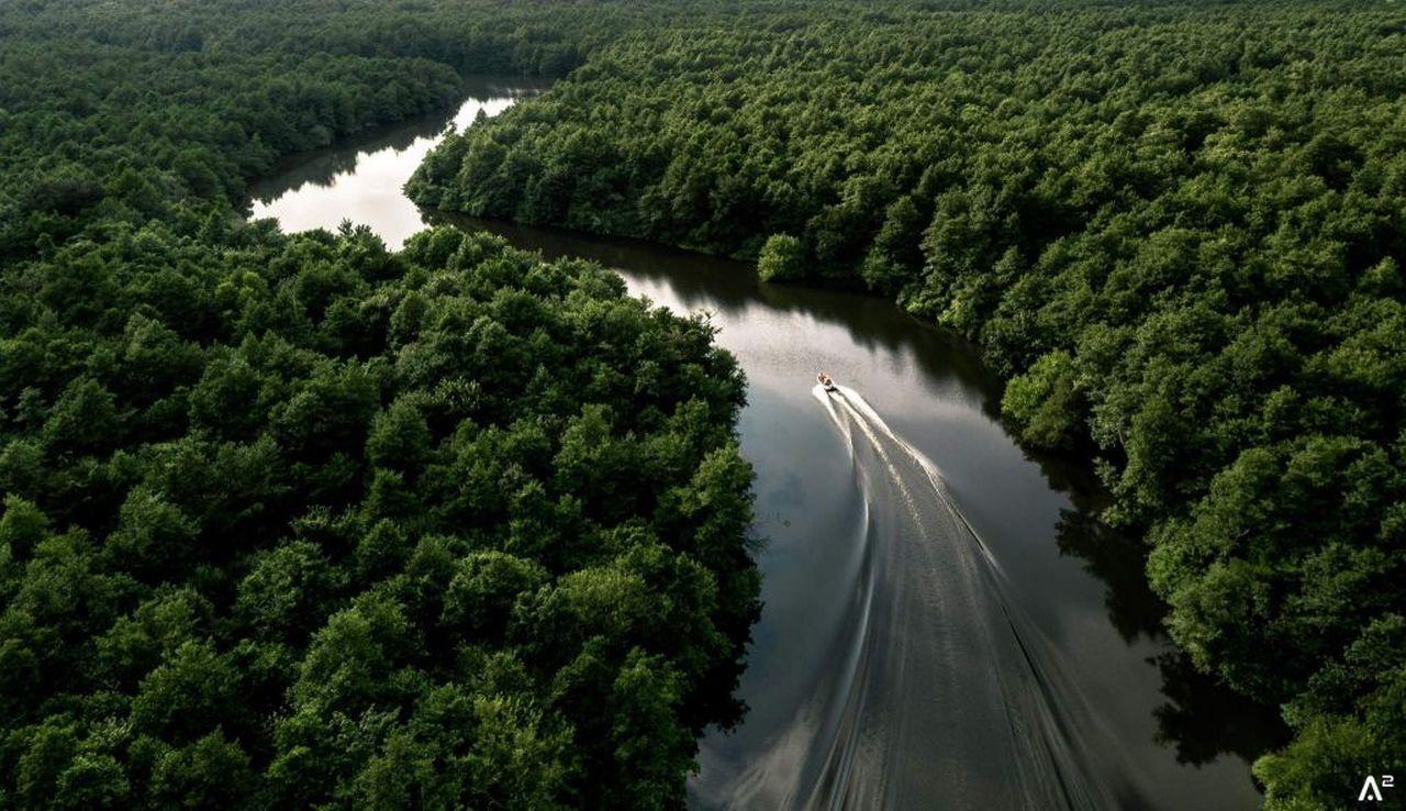 From Batumi: Georgian Amazon & Kolkheti Park Tour — guided tour in Batumi