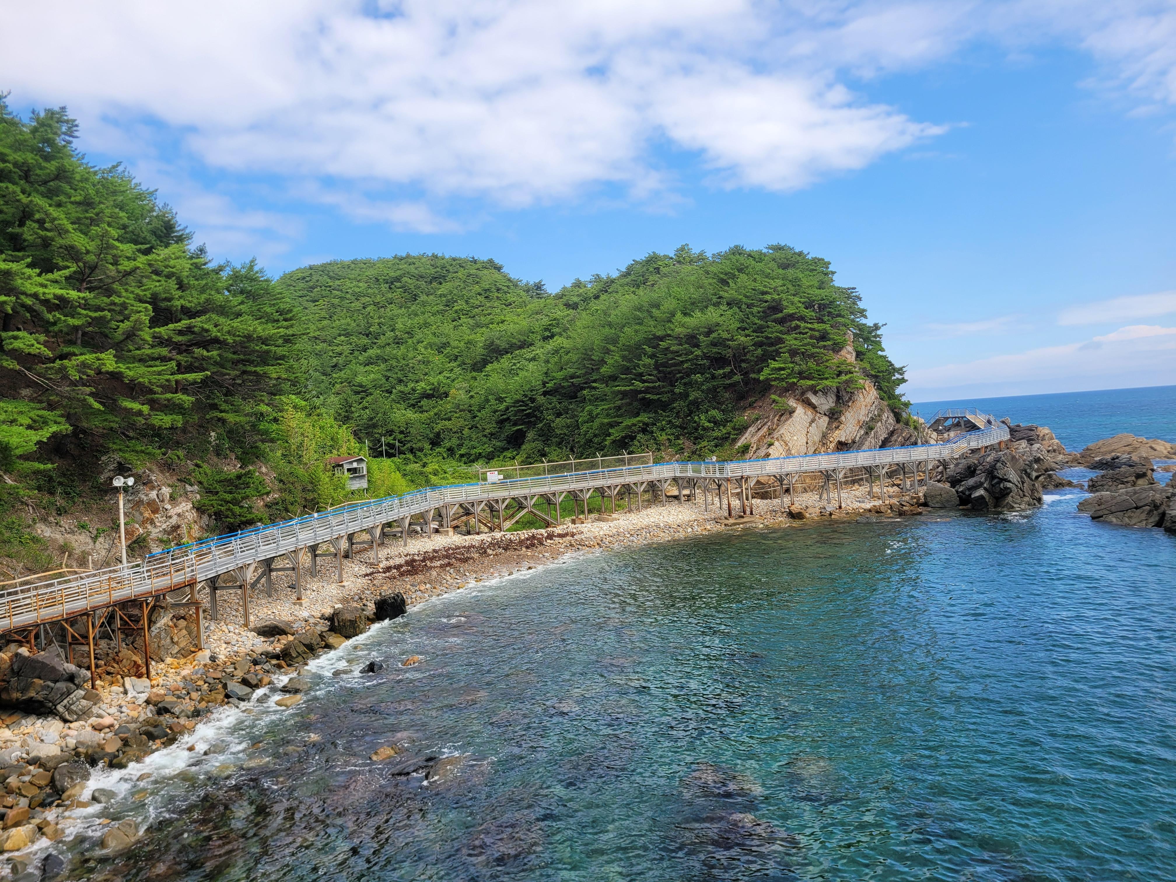 From Seoul: Private Gangneung Tour with Coastal Trail Walk