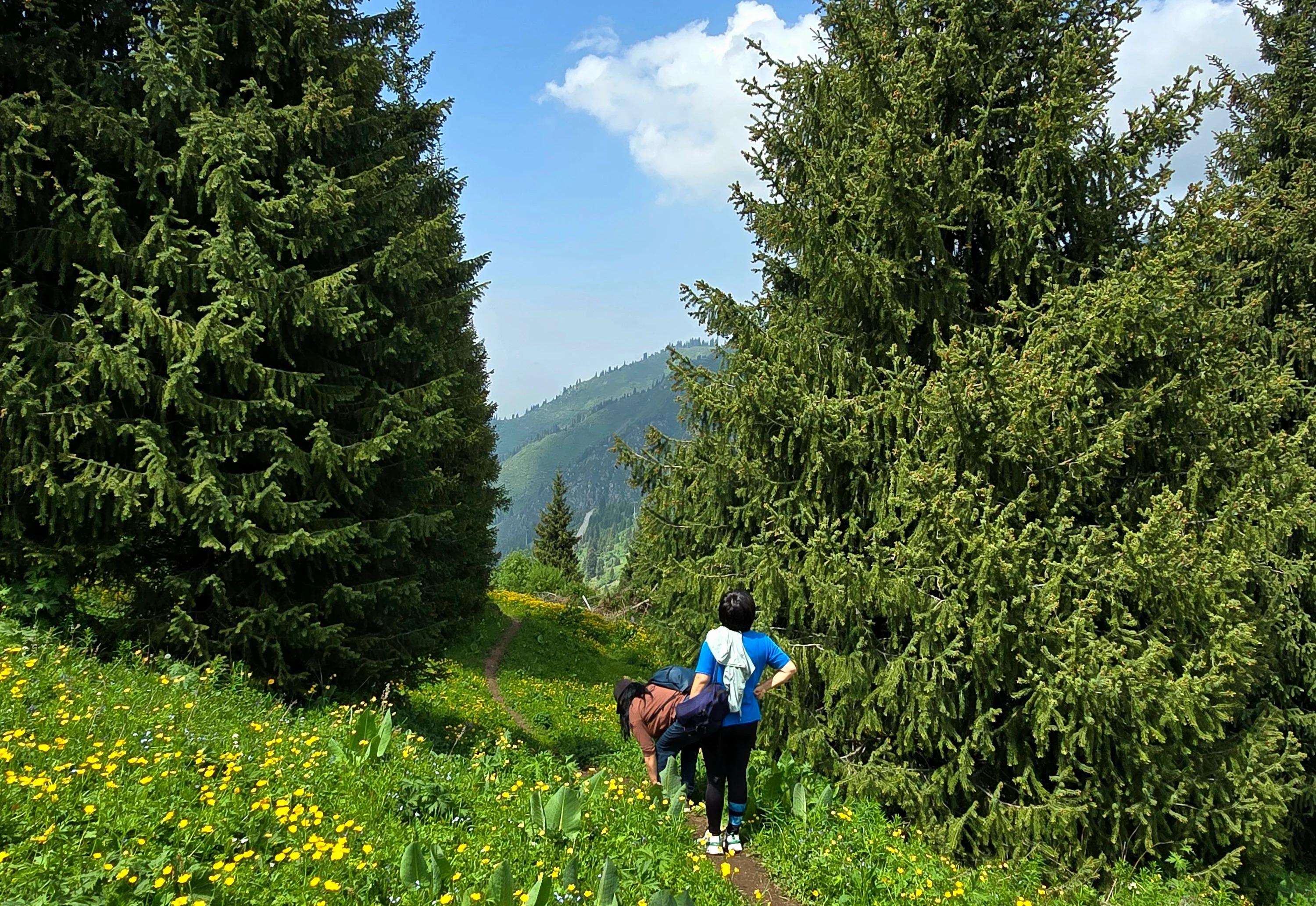 Almaty Mountains: Private Full-Day Hiking Tour 2
