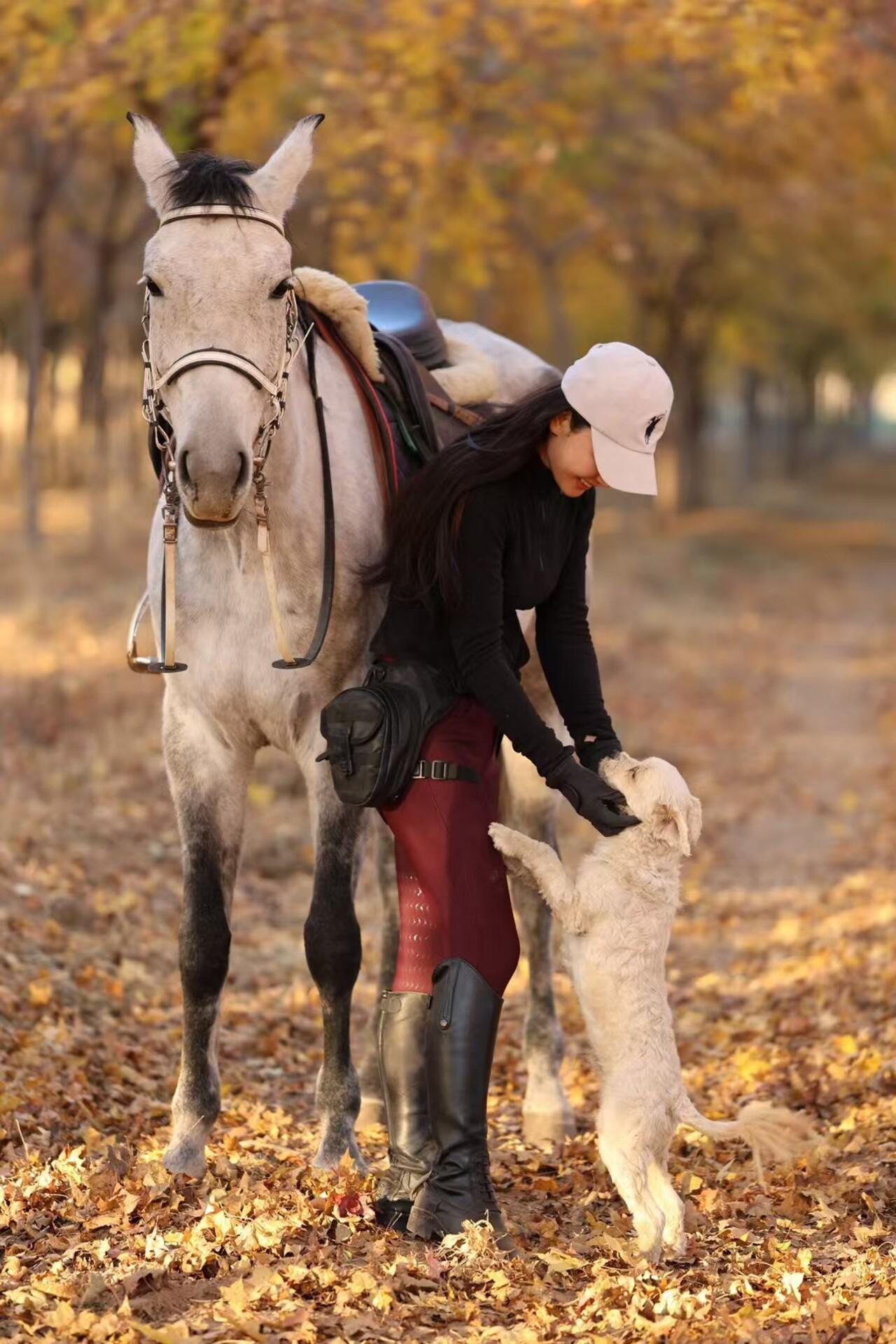 Beijing Overnight Layover: Countryside Horse Riding Tour