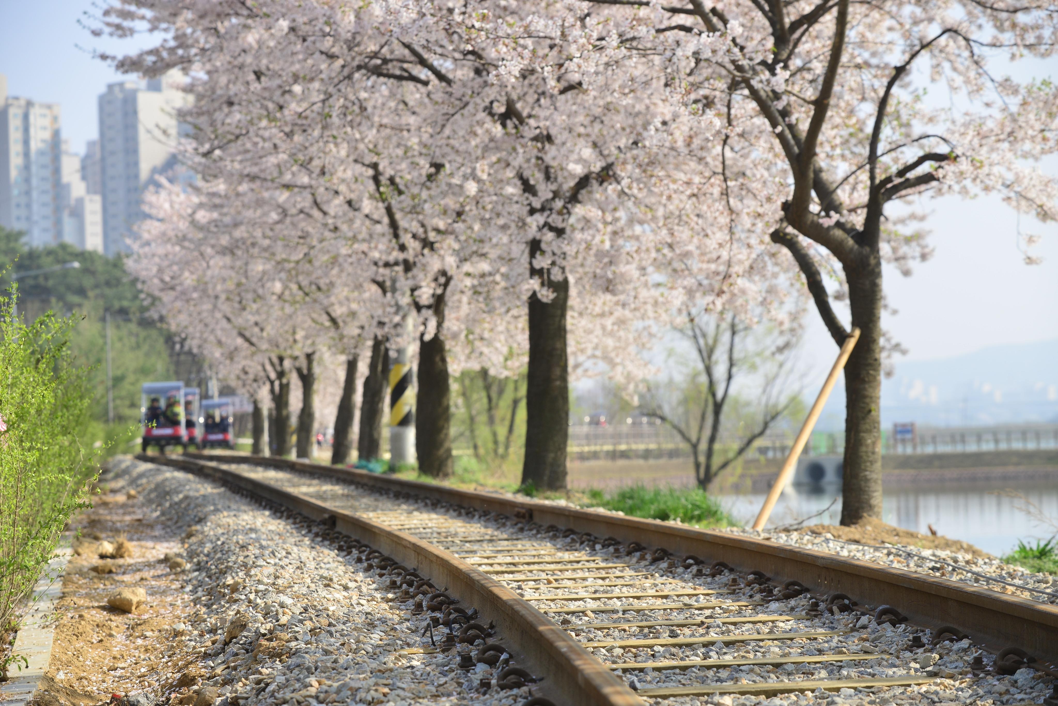 From Seoul: Suwon Uiwang Rail Park and Zipline Day Trip 3