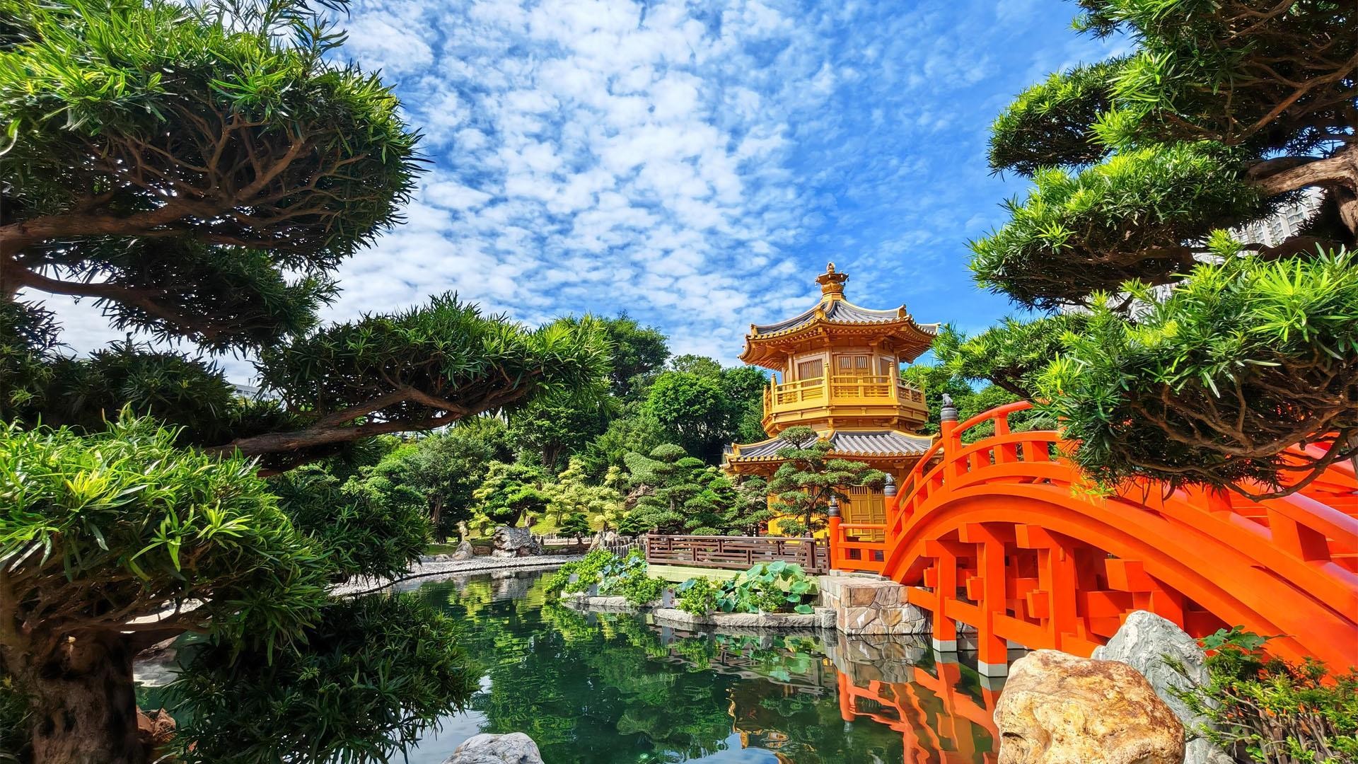Hong Kong: Private Kowloon Tour Wong Tai Sin & Chi Lin 2