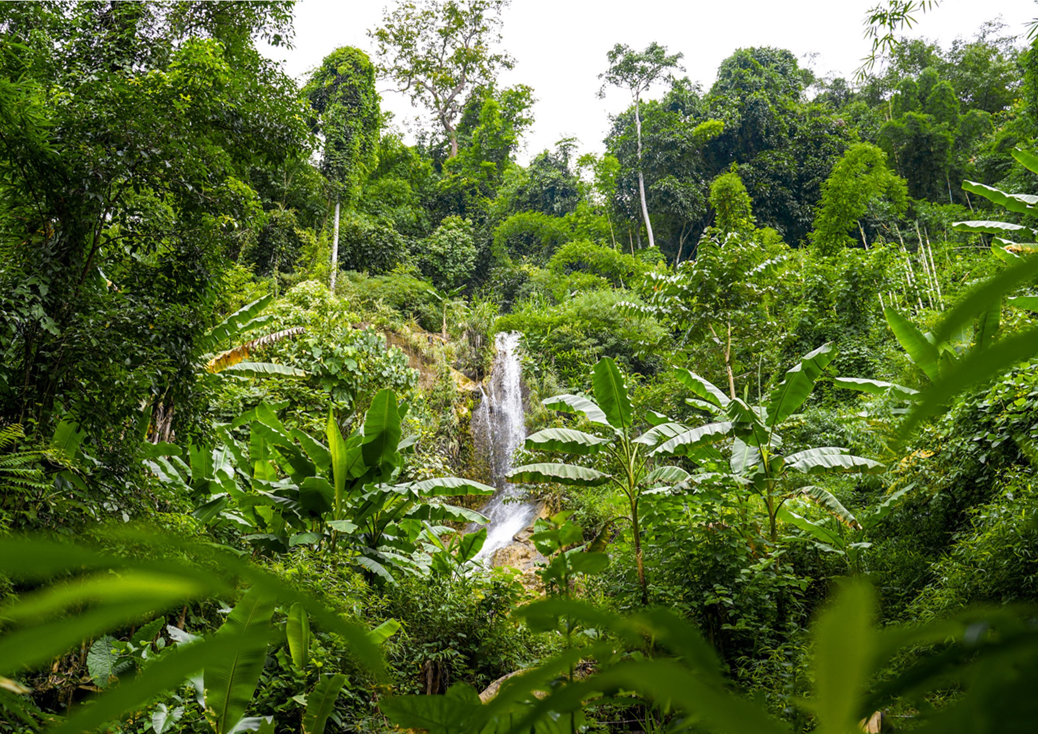 1 Day: Trekking Trip with Lao, Hmong, Khu Village & Kayaking 2