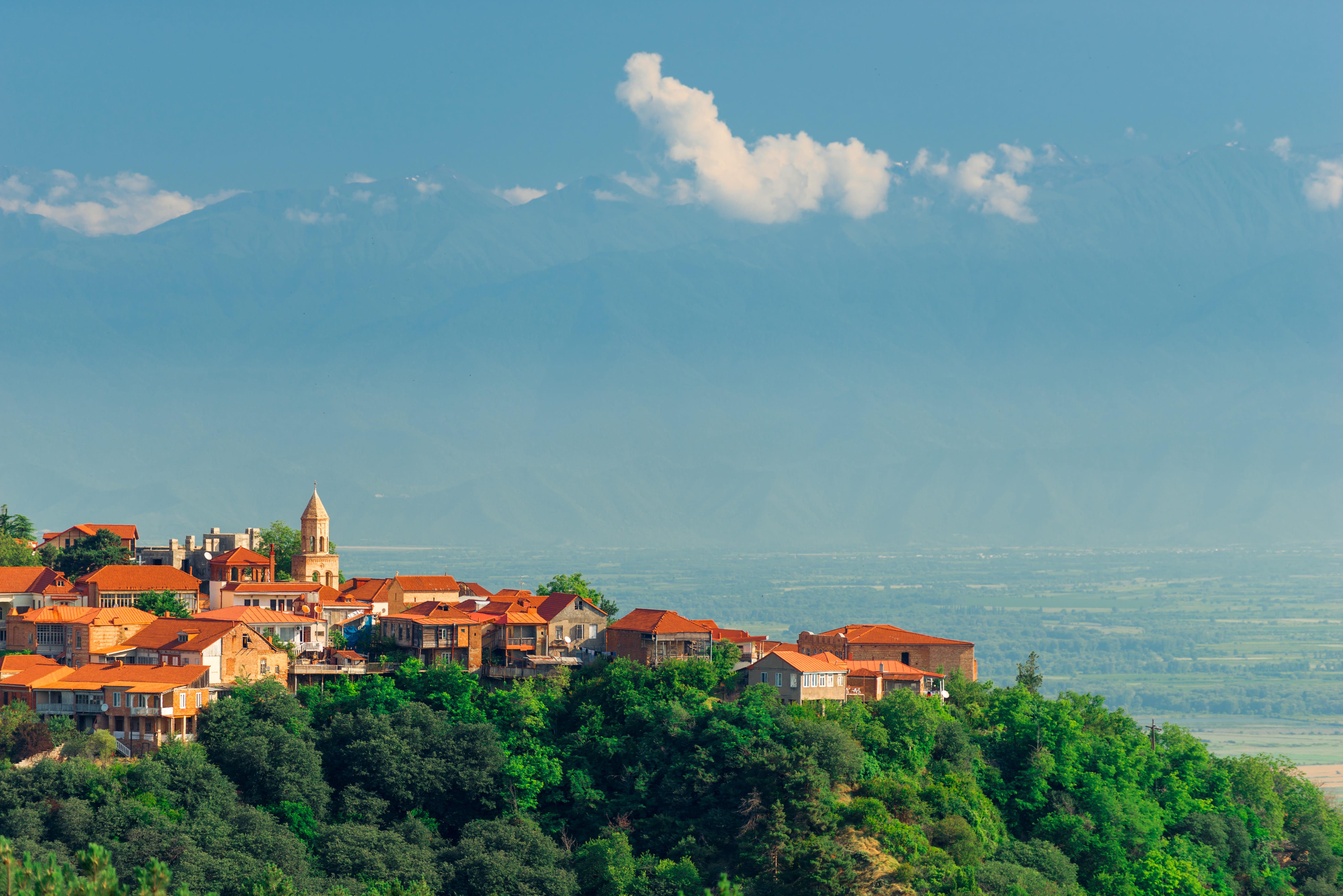 Tbilisi: All-inclusive Kakheti Day Trip Lunch & Wine Tasting 2