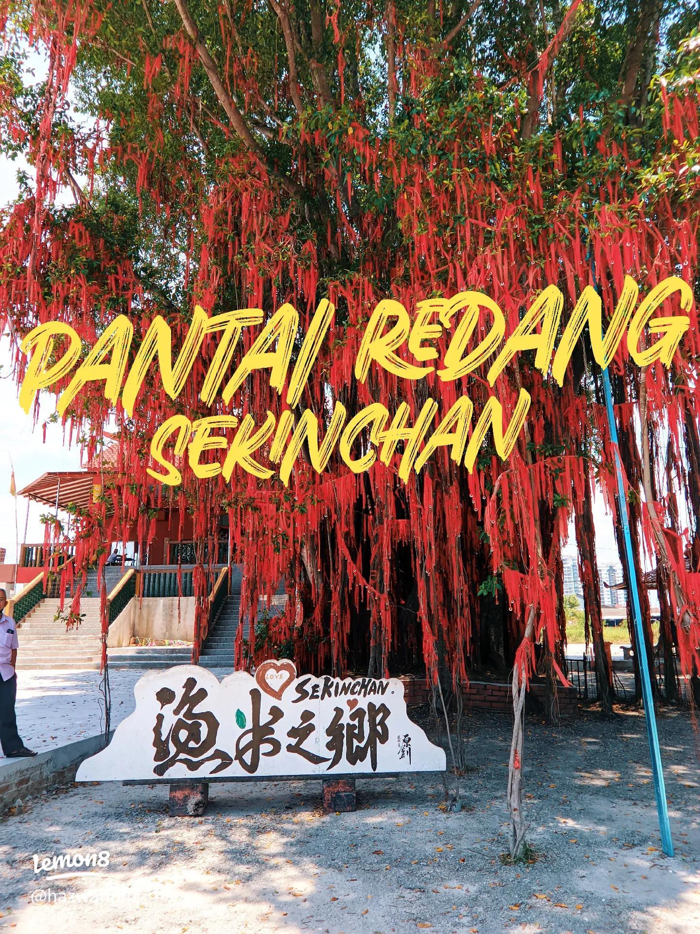Kuala Selangor: Sky Mirror Island & Rice Field Tour 3
