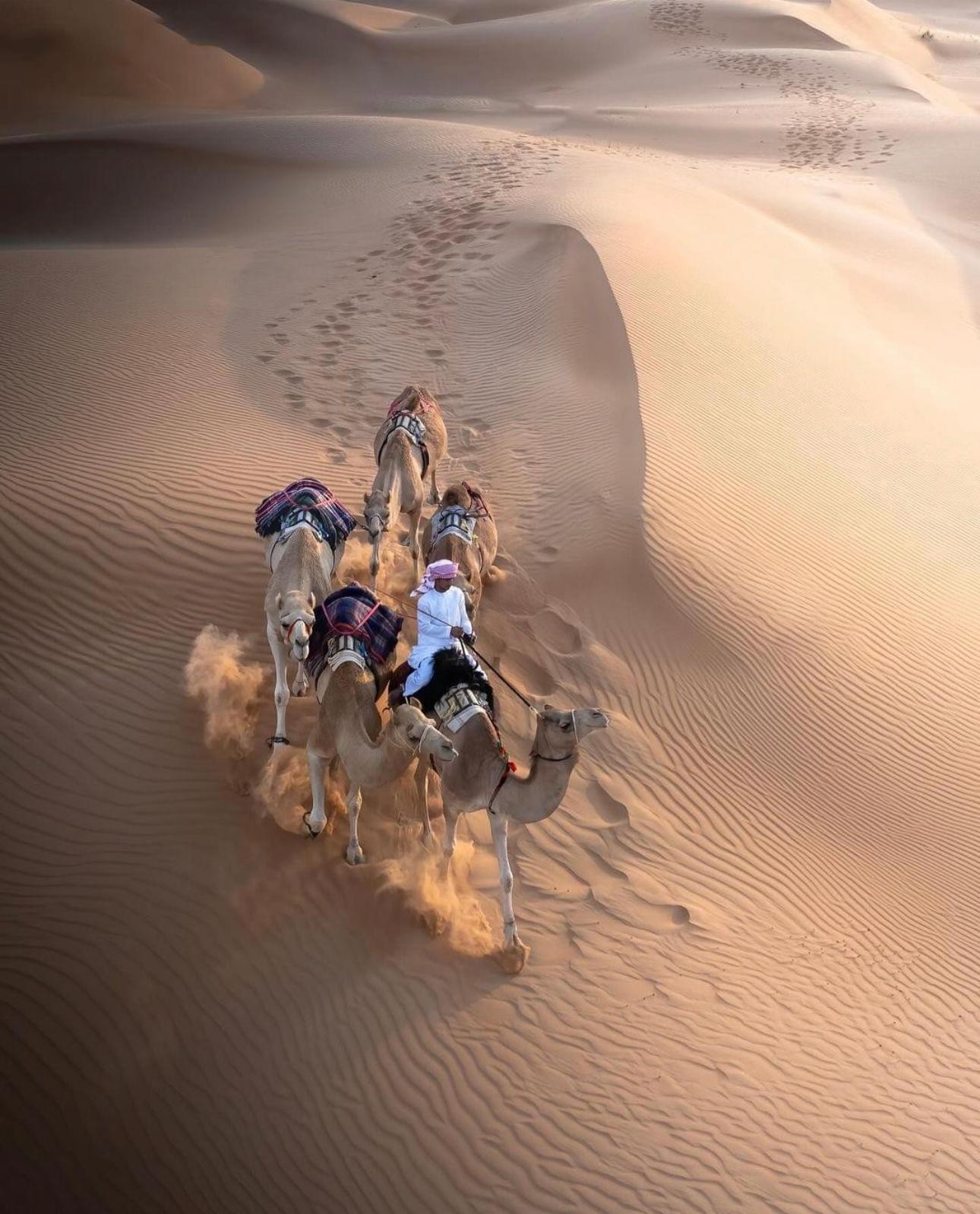 Arabian Overnight: 1001 Nights Desert Safari Salalah 2