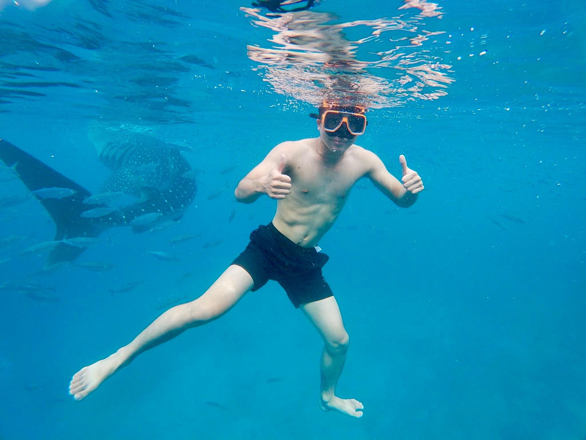 Oslob: Whale Shark Direct, a Private Swimming Tour 3