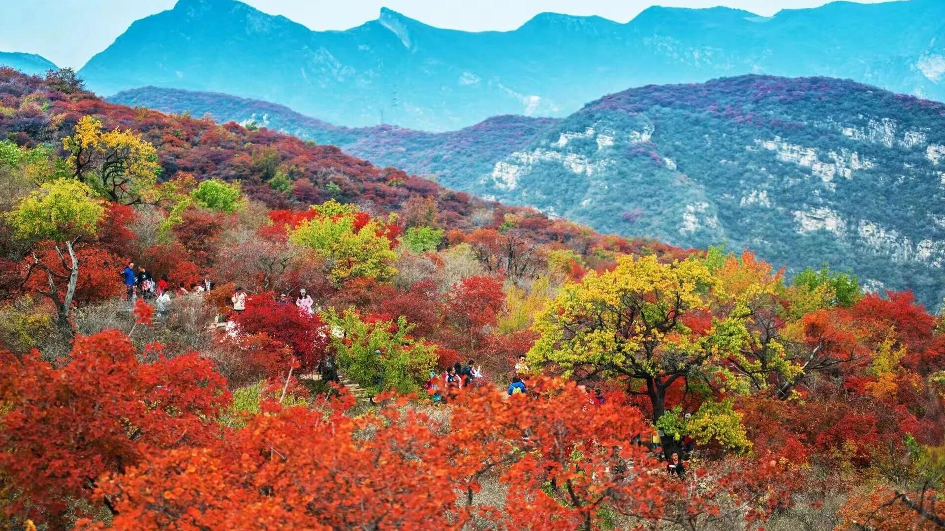 Beijing: Mutianyu Great Wall VIP Private Tour with Hot Pot 3