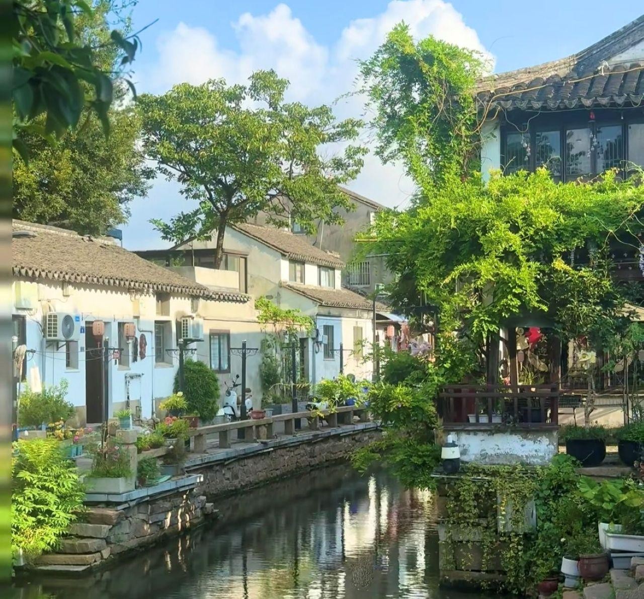 Shanghai: Giant Pandas & Suzhou Day Trip by Bullet Train 2
