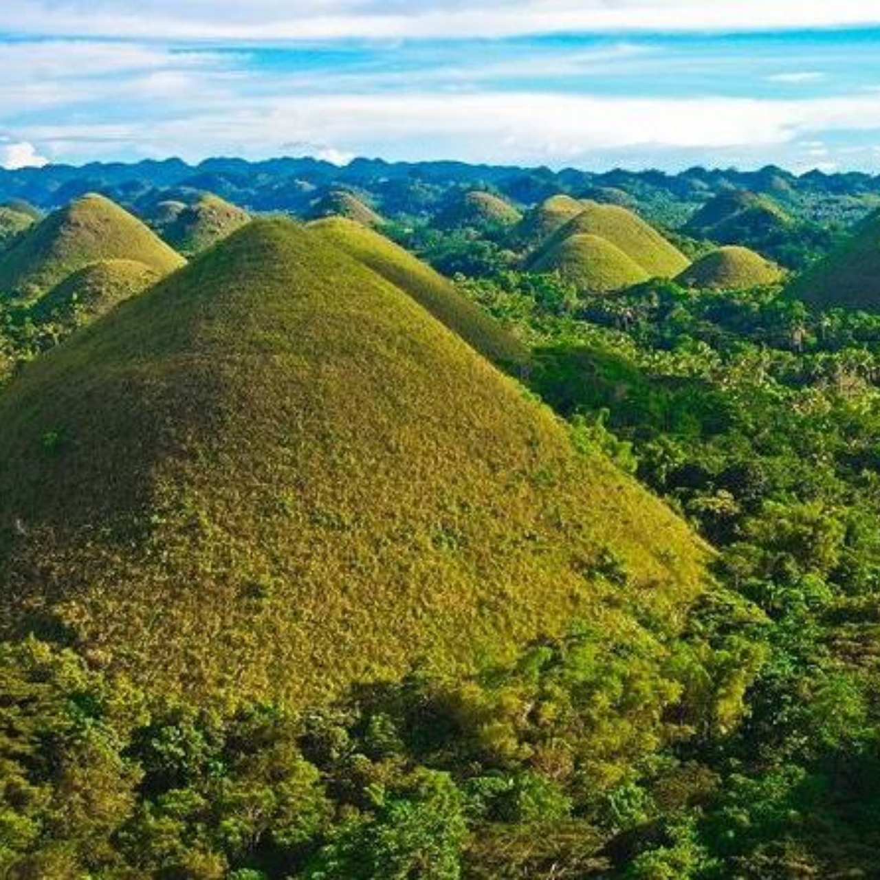Bohol: Chocolate Hills Tour with Loboc River Cruise & Lunch 2