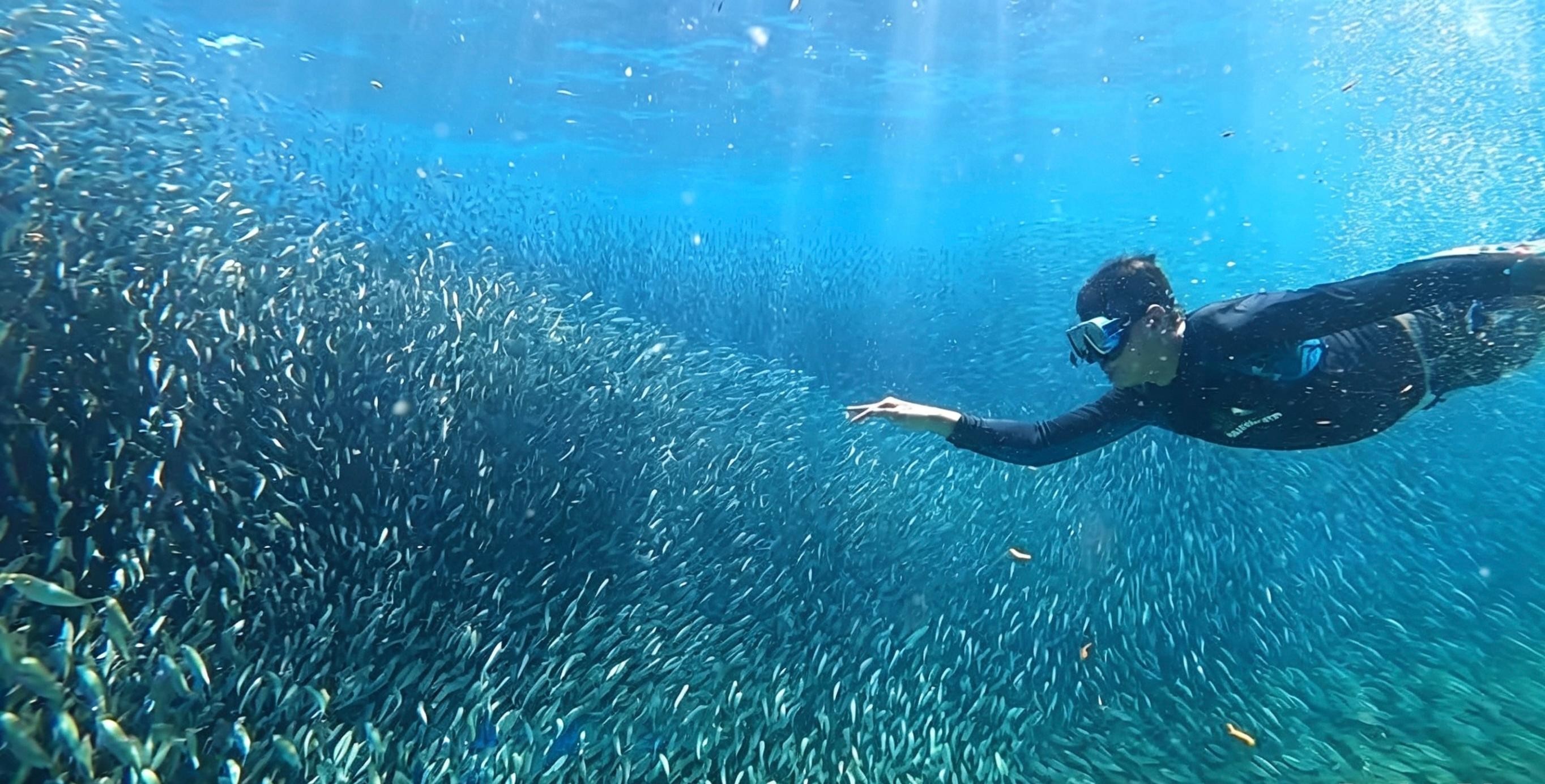 Cebu: Osmeña Peak hike and Sardines Run Snorkel adventure 2