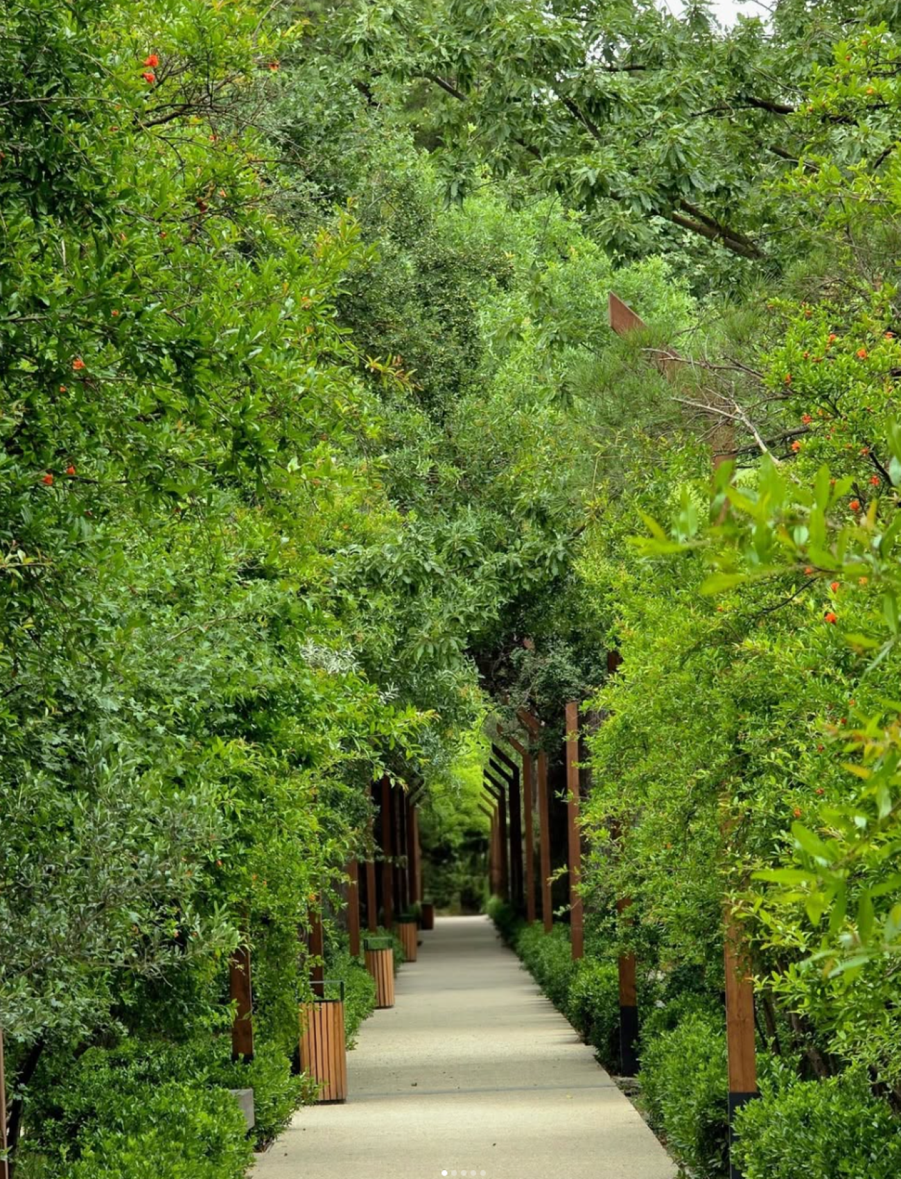 Discover the Magnificent Nature of Baku’s Central Botanical Garden