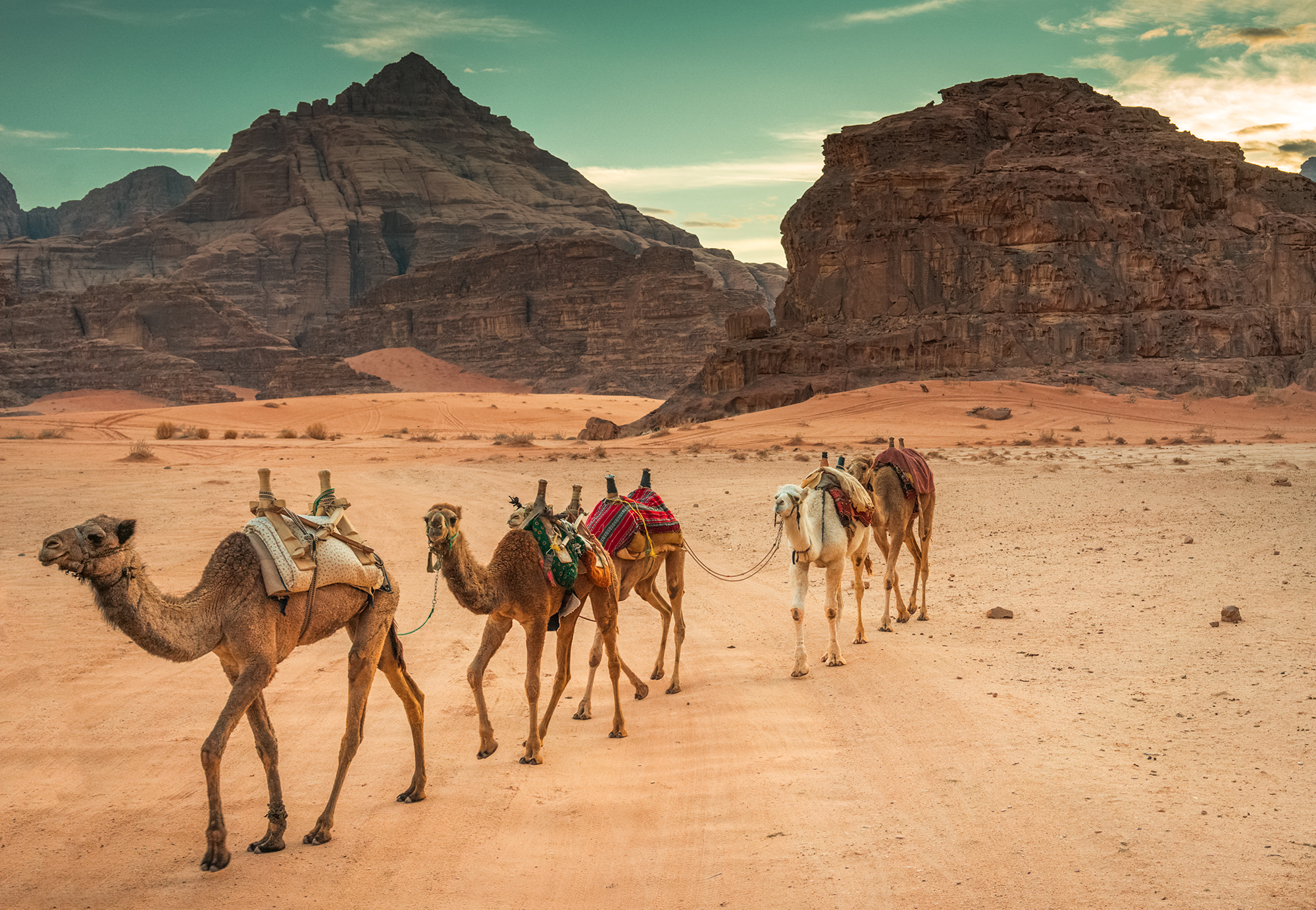 5-Day Private Tour from Amman: Petra, Wadi Rum & Dead Sea