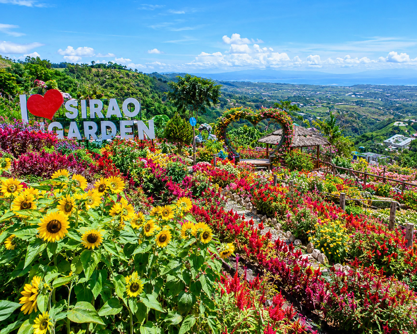 Cebu: 4-Day, 3-Night Oslob & Moalboal Tour Package