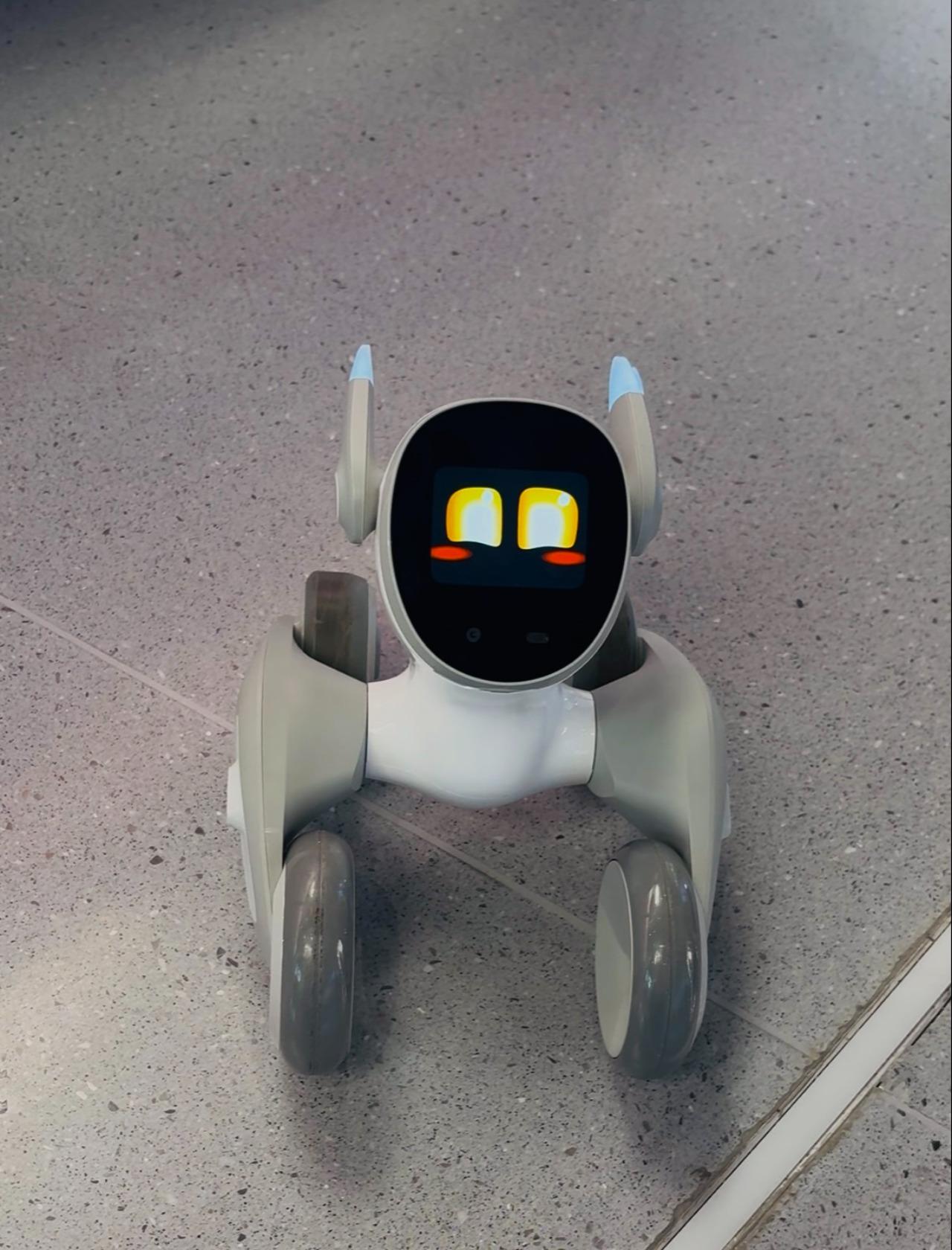 Shanghai: AI Mall Robots Self-guided Tour Transportation 2