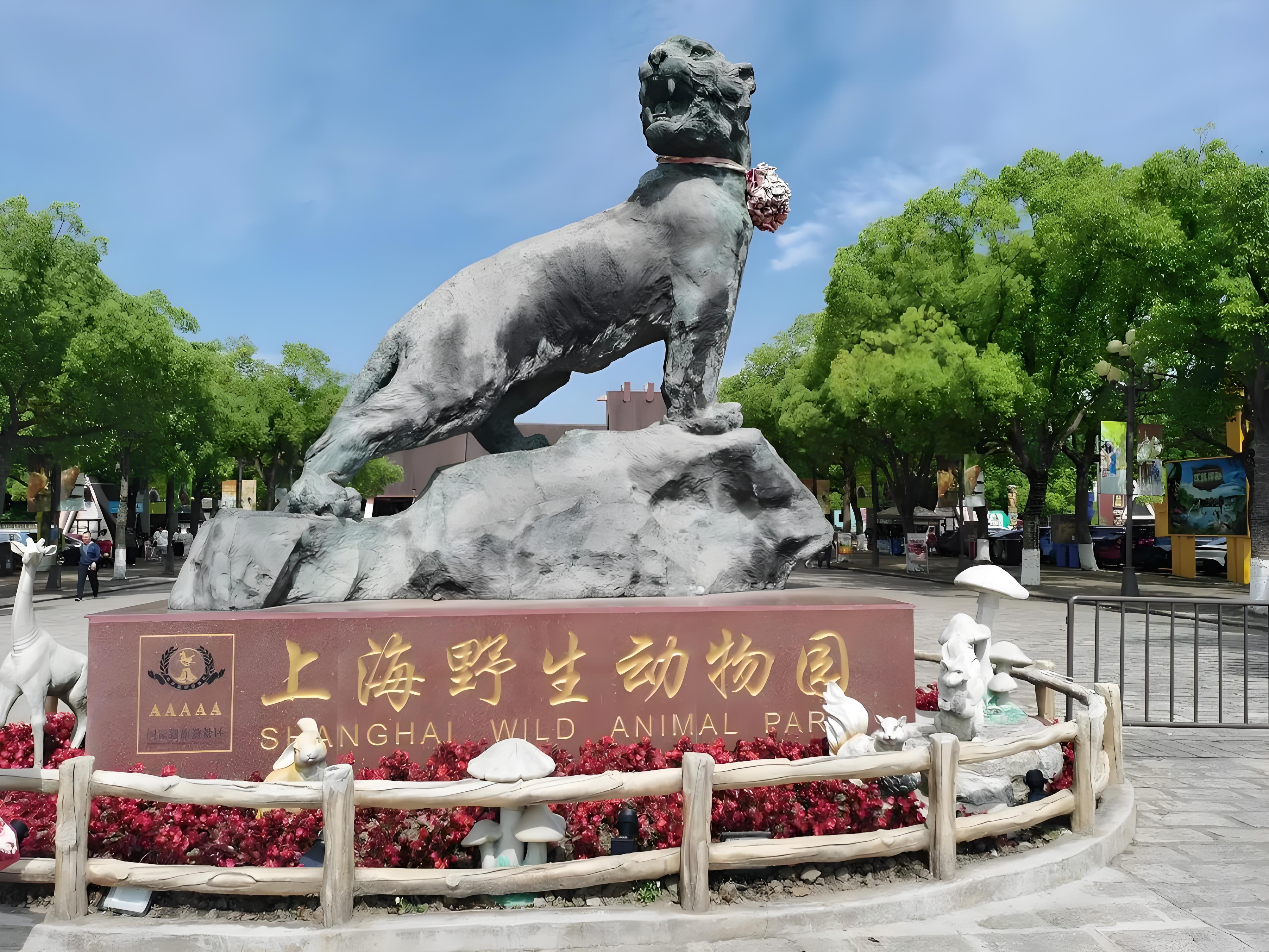 Shanghai Wildlife Park Panda & Predator Feeding Tour 2