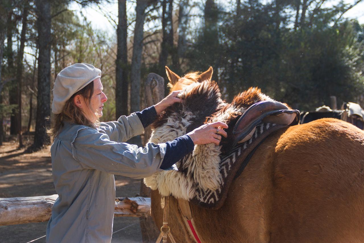 Kazakhstan: Private Almaty Day Tour with Horse Ride & Pickup 3