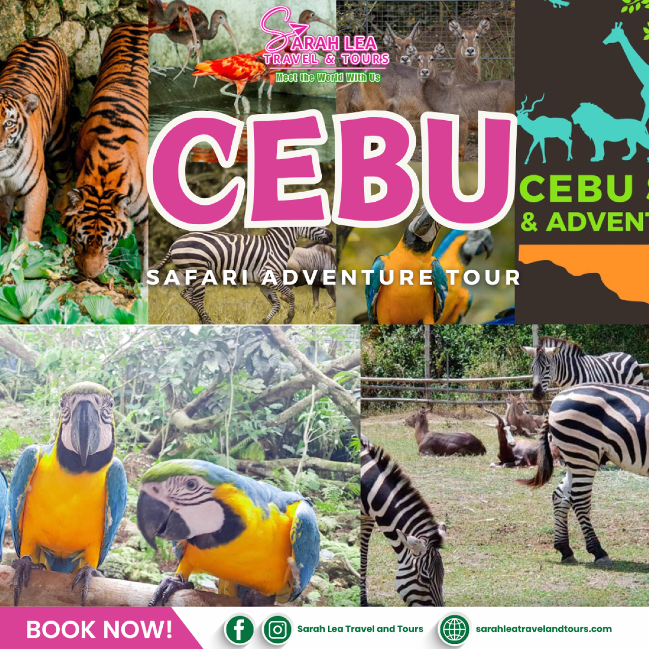 From Cebu City: Full-Day Wildlife Safari & Savanna Ride
