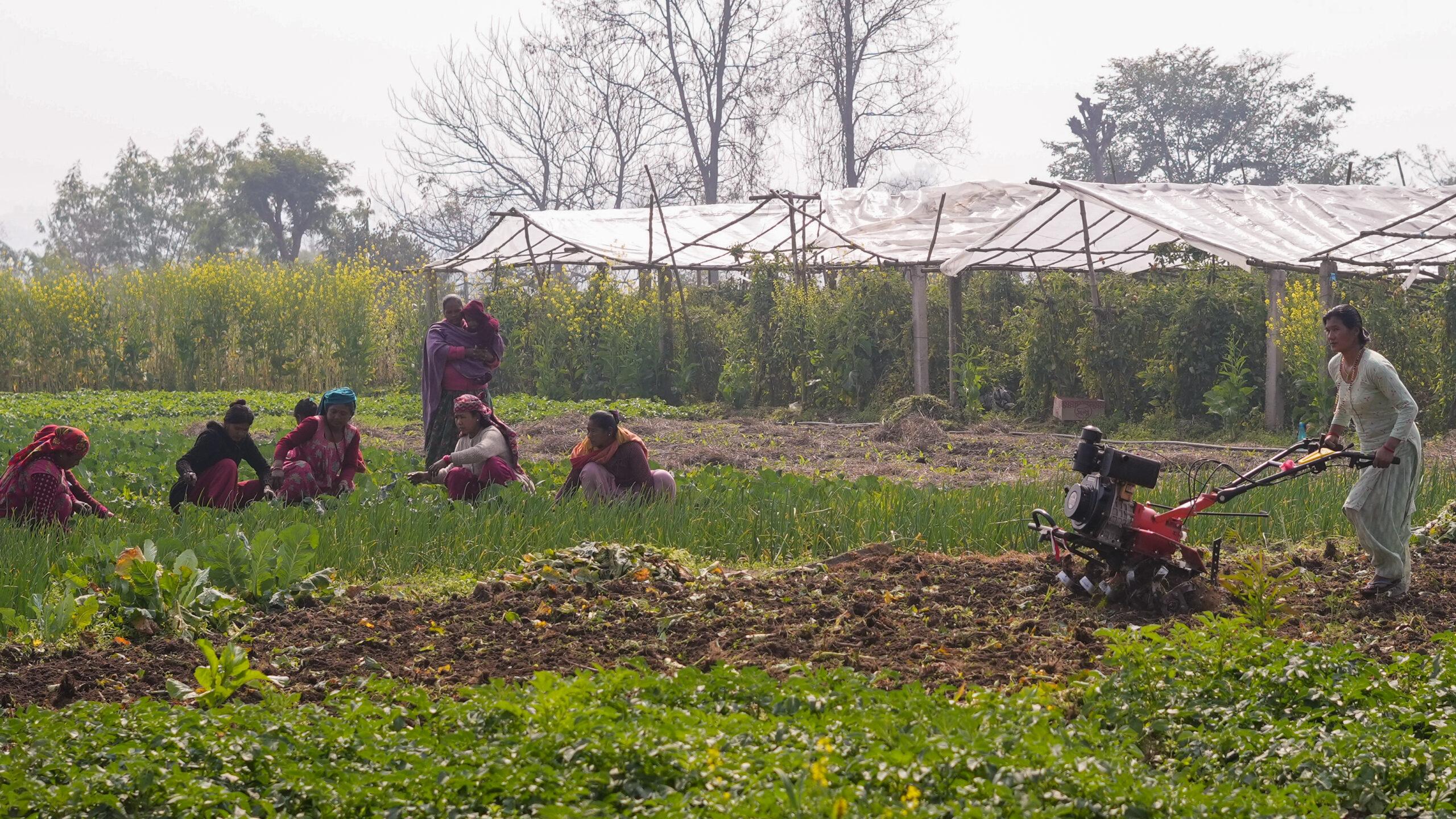 Kathmandu Outskirt: Off-Beat Trip with Locals and Villages 3