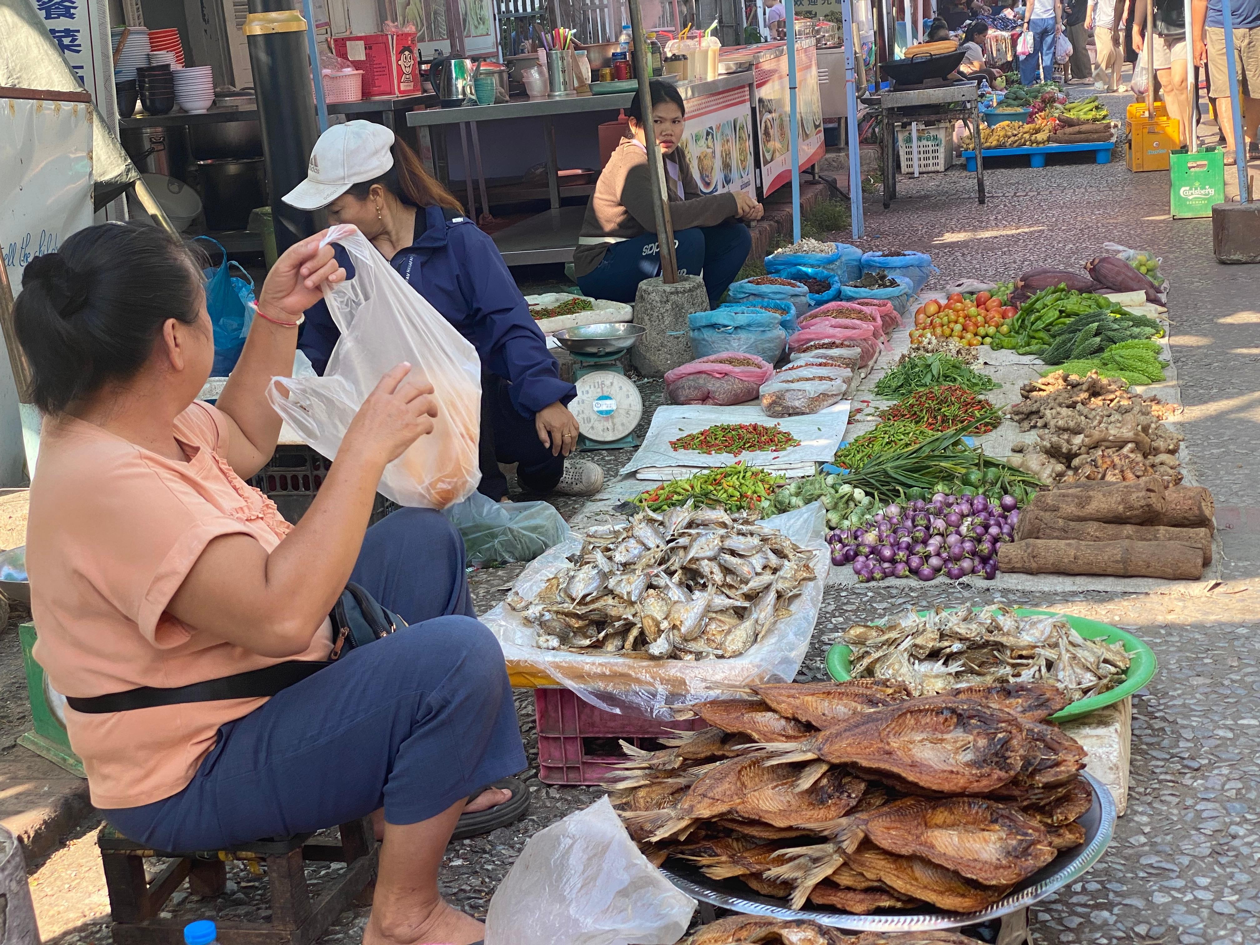 Vang Vieng Plates 12+ Tastings Food Tour 2