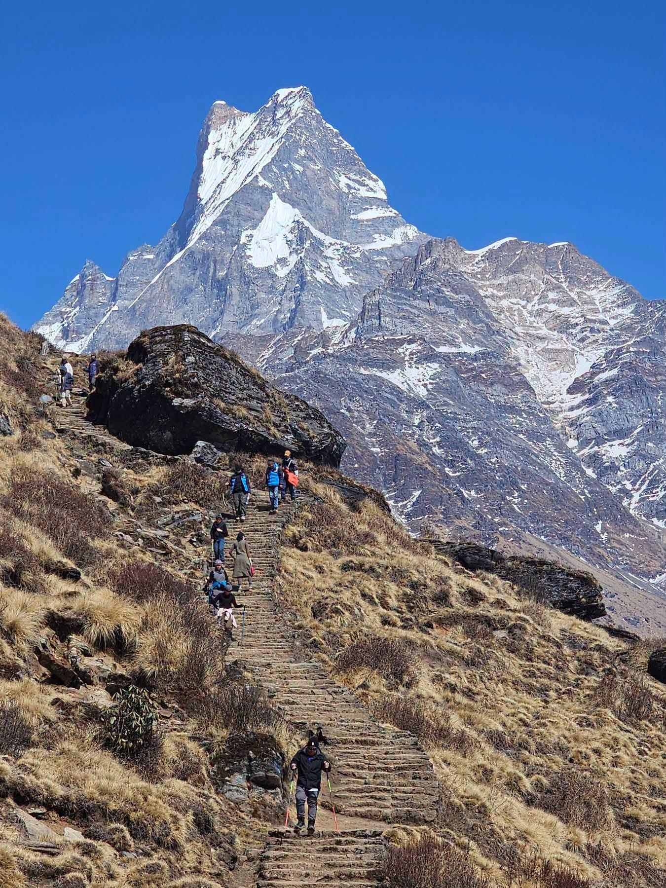 Pokhara: 4-Day Mardi Himal Base Camp Private Trek (4500M) 3