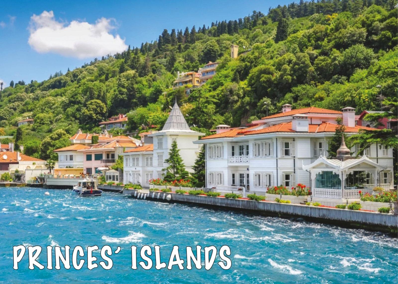 Istanbul: Day Trip to the Princes' Islands