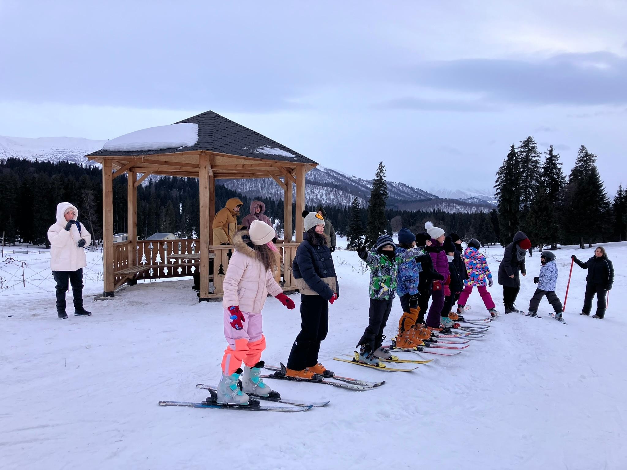Bakuriani: Private or group Ski Lesson 3