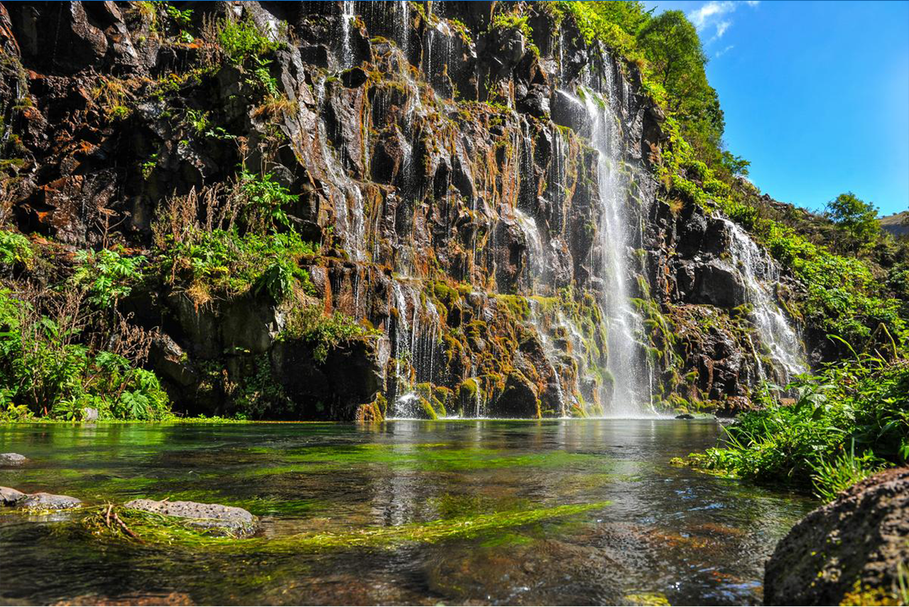 From Tbilisi: Private Tsalka Canyon Tour (Dashbashi)