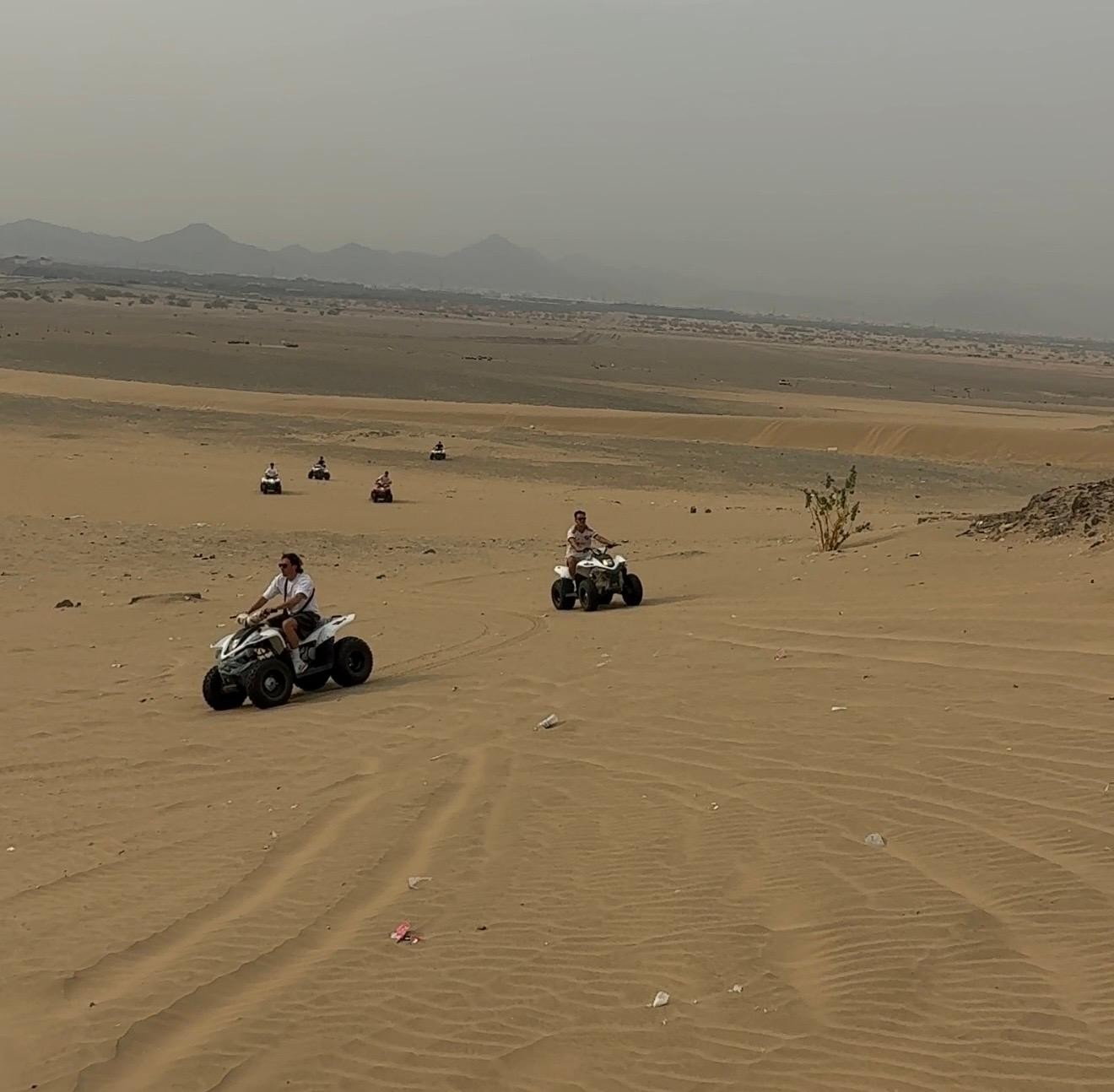Jeddah: Half-Hour Desert Quad Tour & Camel Farm Visit 2