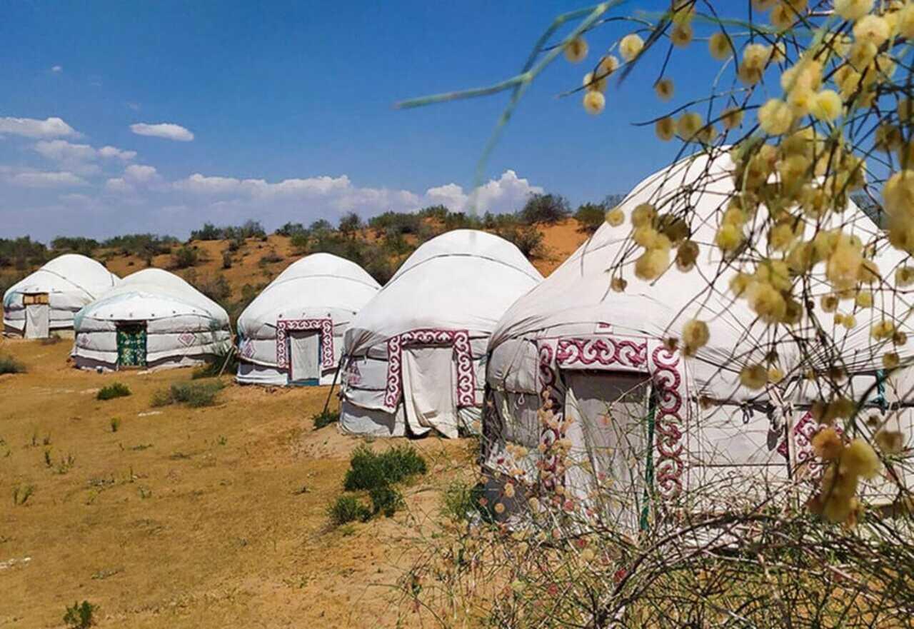 2 Days Private Safari Tour from Bukhara 2