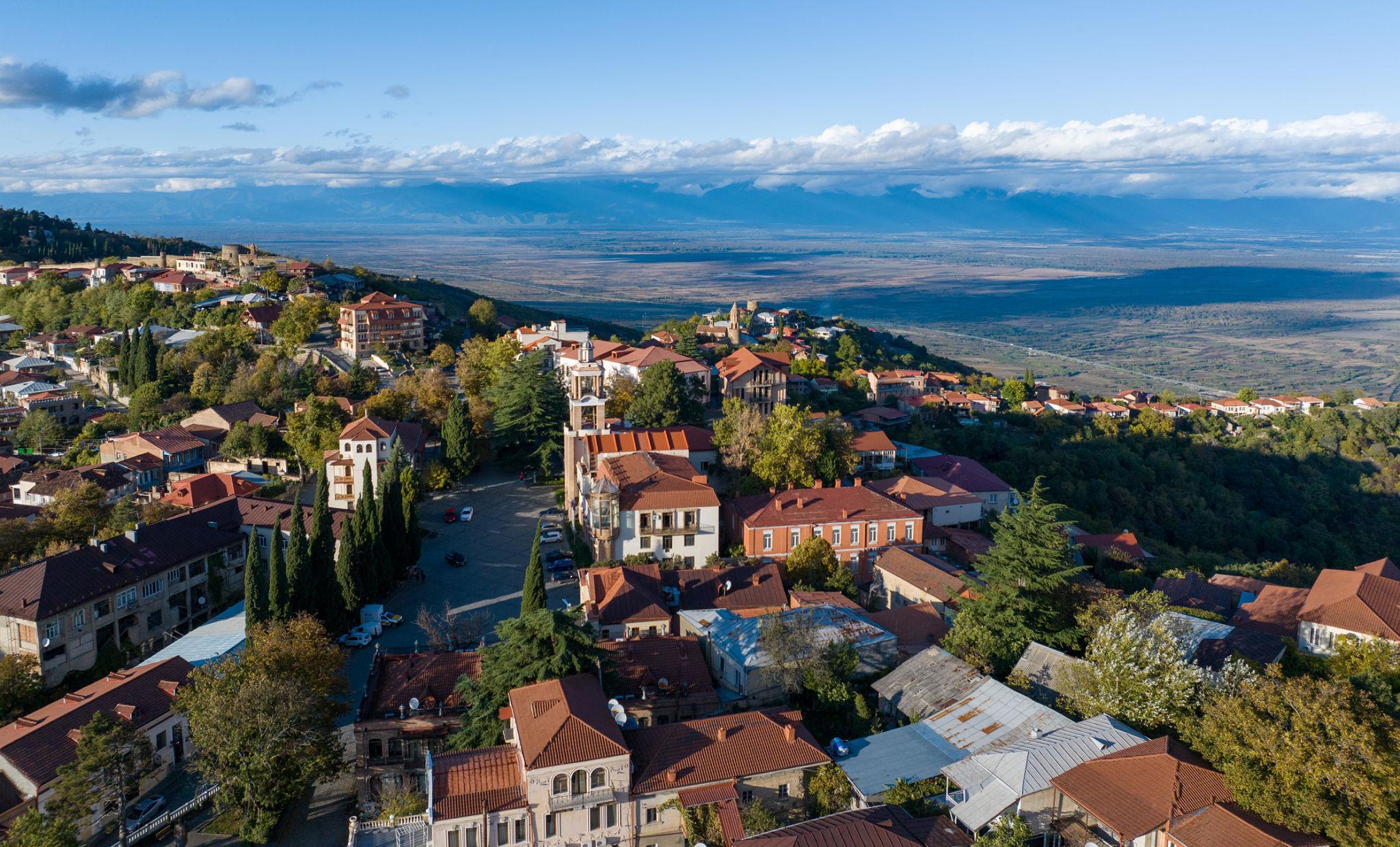 From Tbilisi: Kakheti Wine Region Tour with Wine Tasting 3