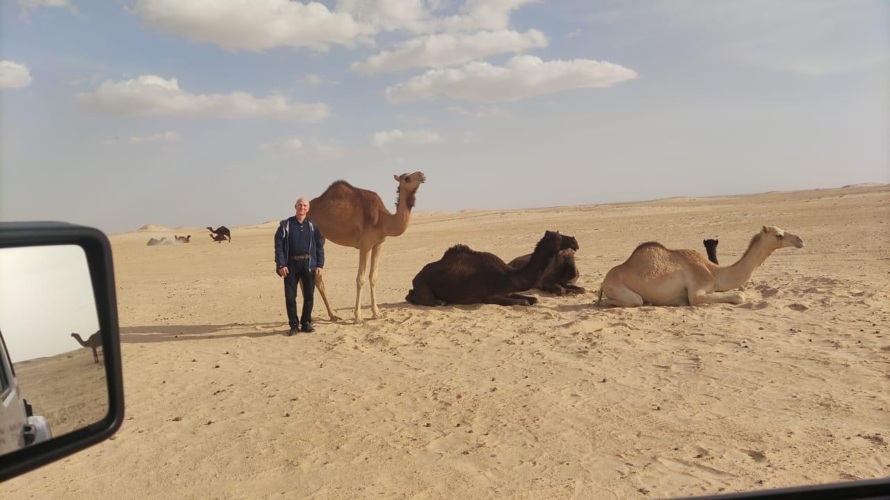 Salalah: Legends of Desert Caravans 2