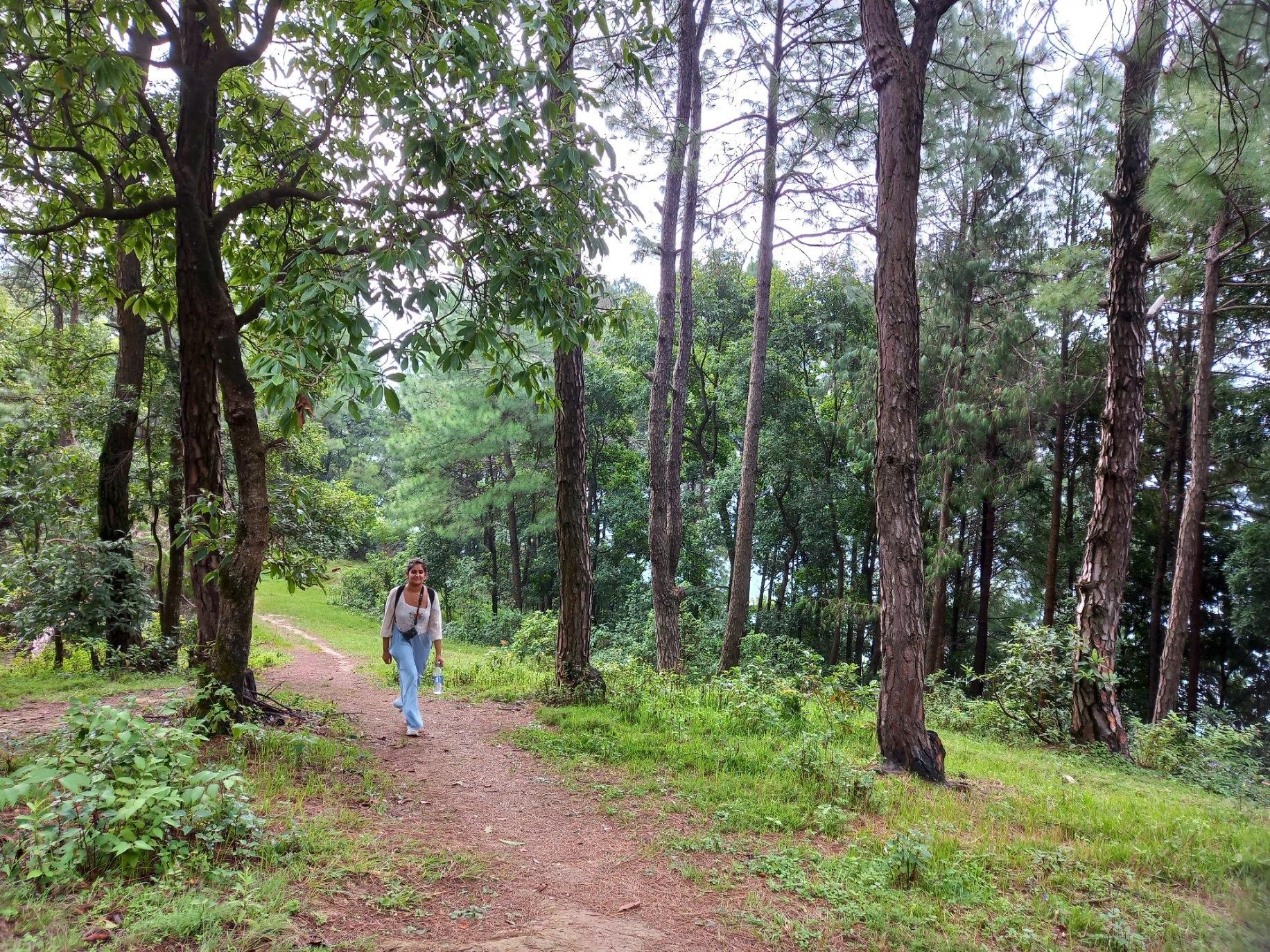 From Kathmandu: 3-Day Chisapani-Nagarkot Trek & Bhaktapur 2