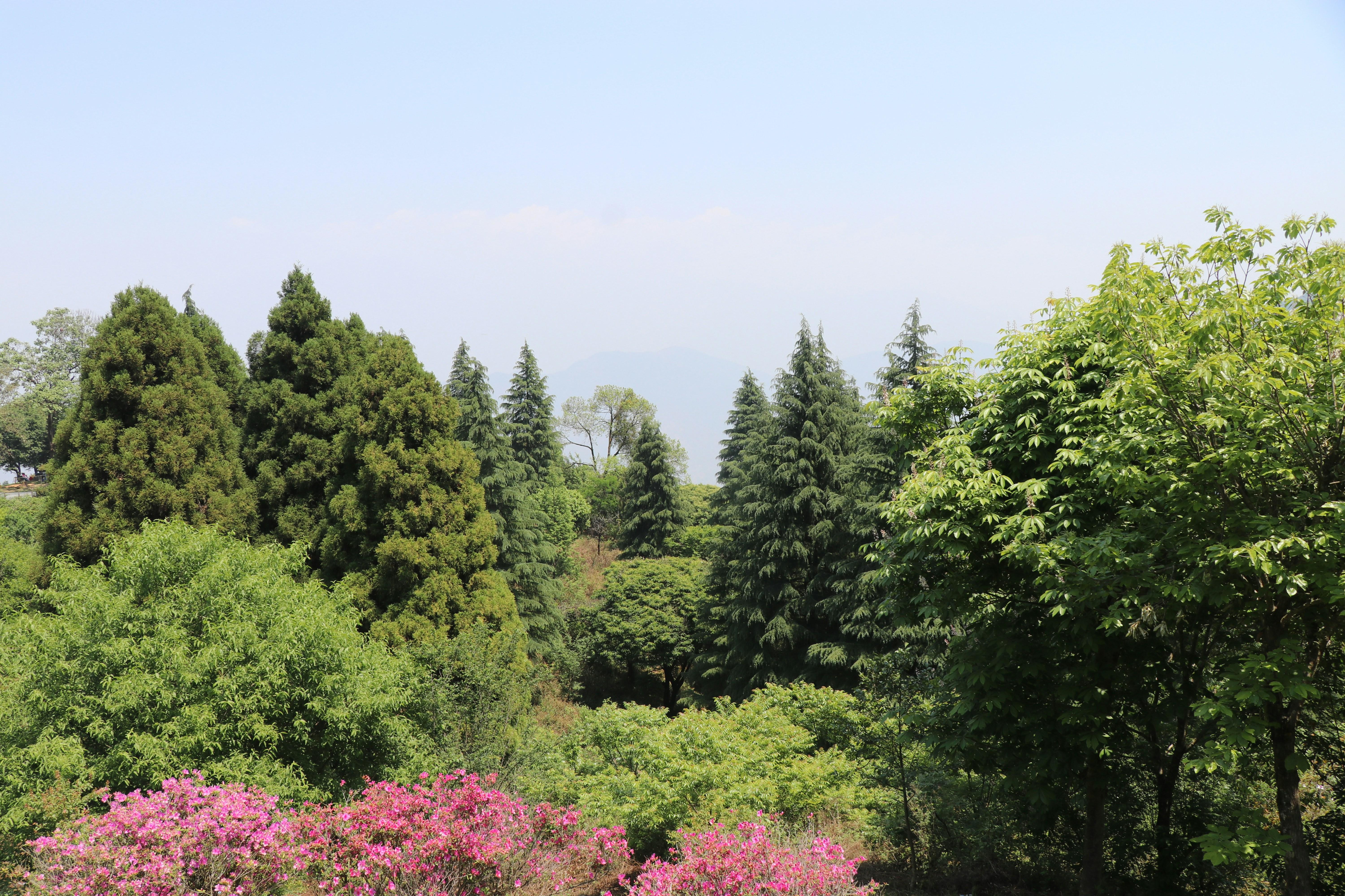 Kathmandu: Shivapuri National Park Hike with Village Lunch 3