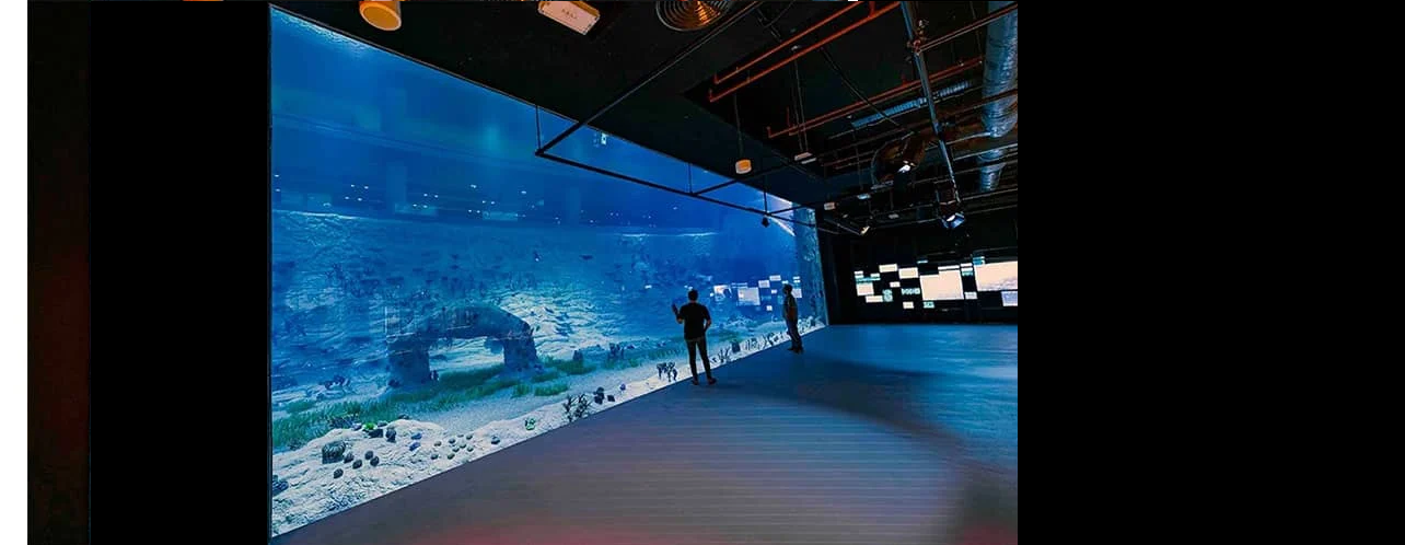 Doha: City Tour with Old Port Aquarium & Lusail Stadium 3