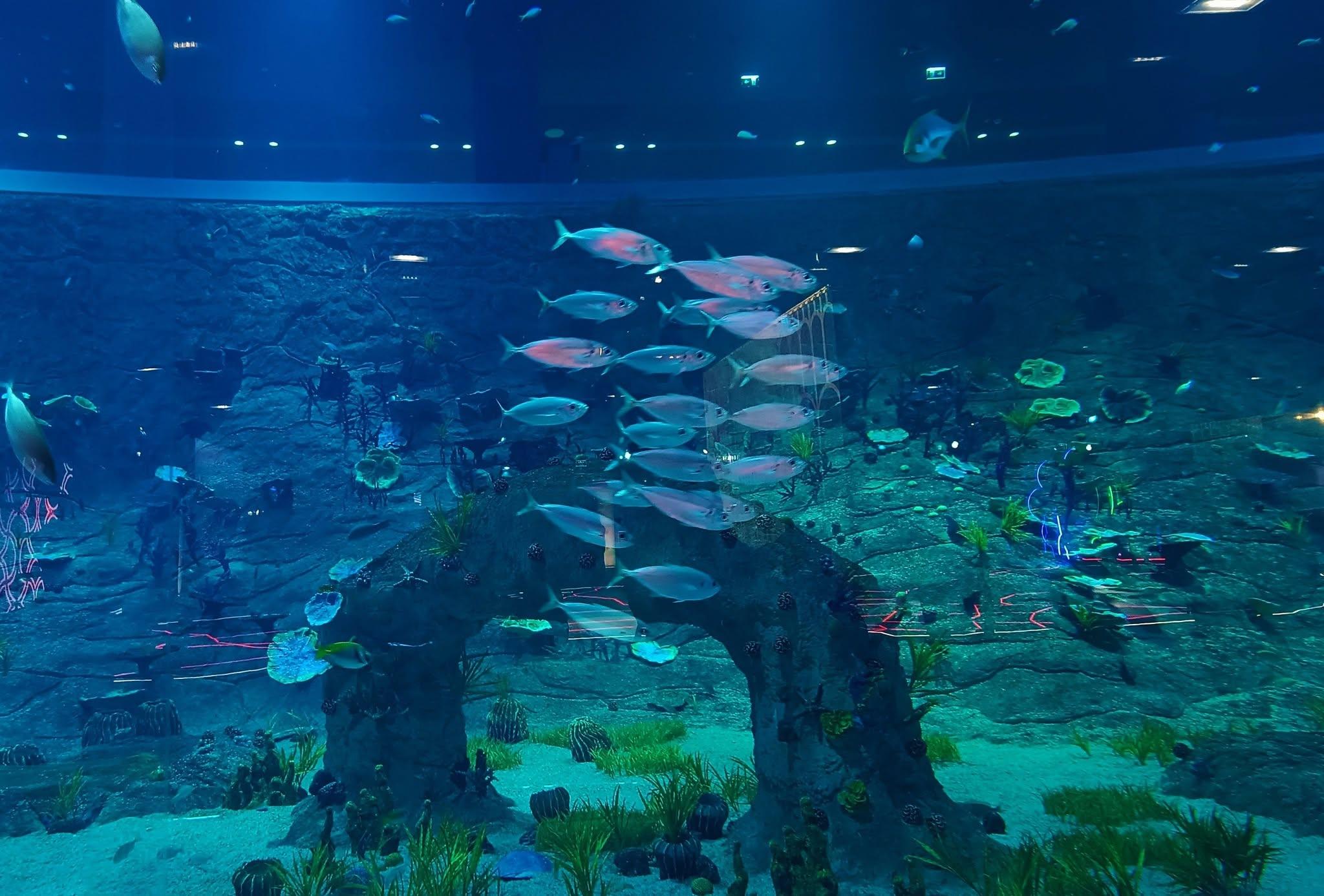 Doha: City Tour with Old Port Aquarium & Lusail Stadium 2