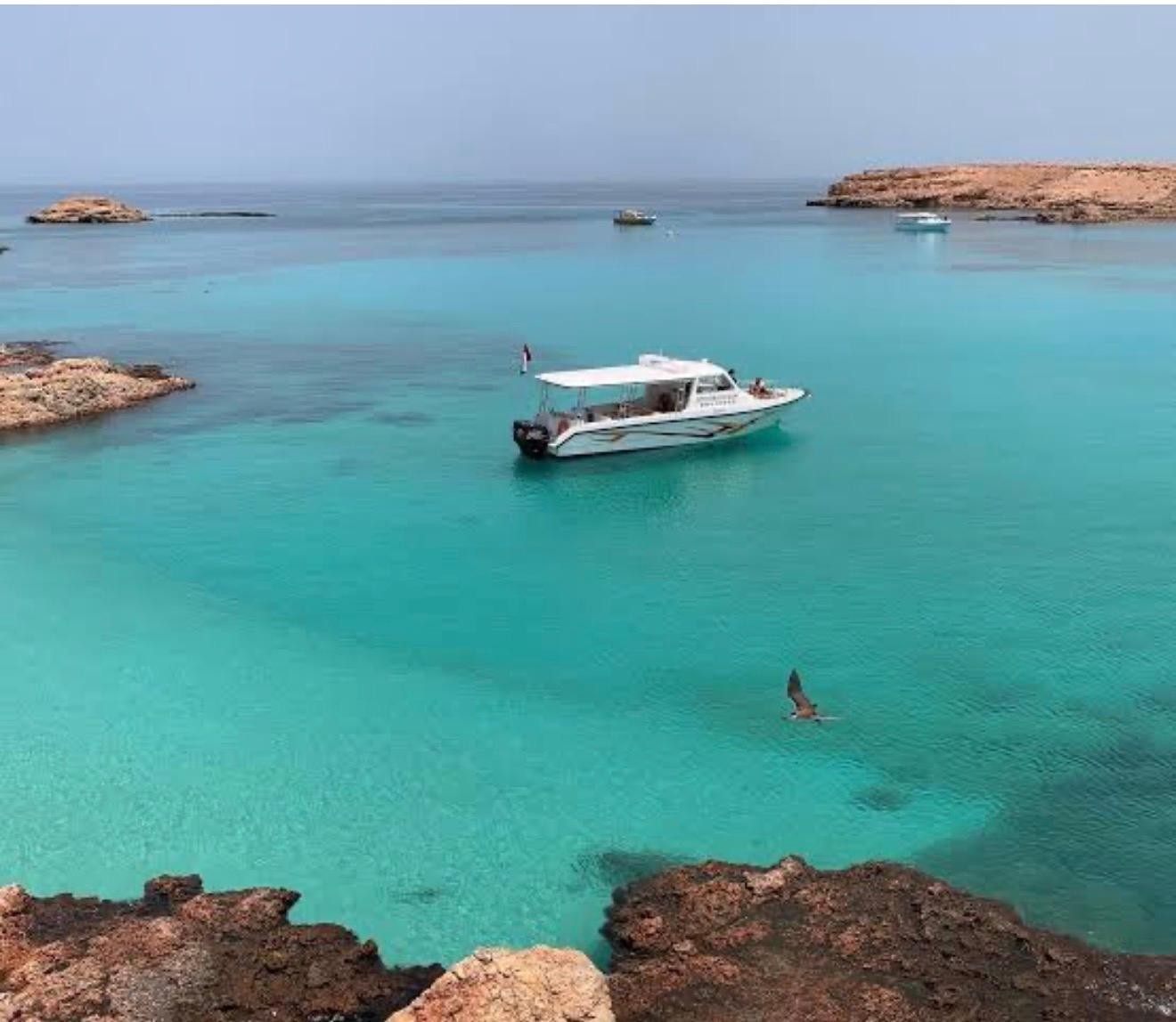 Daymaniyat Islands: Snorkeling Trip with Sea Turtles from Muscat 2