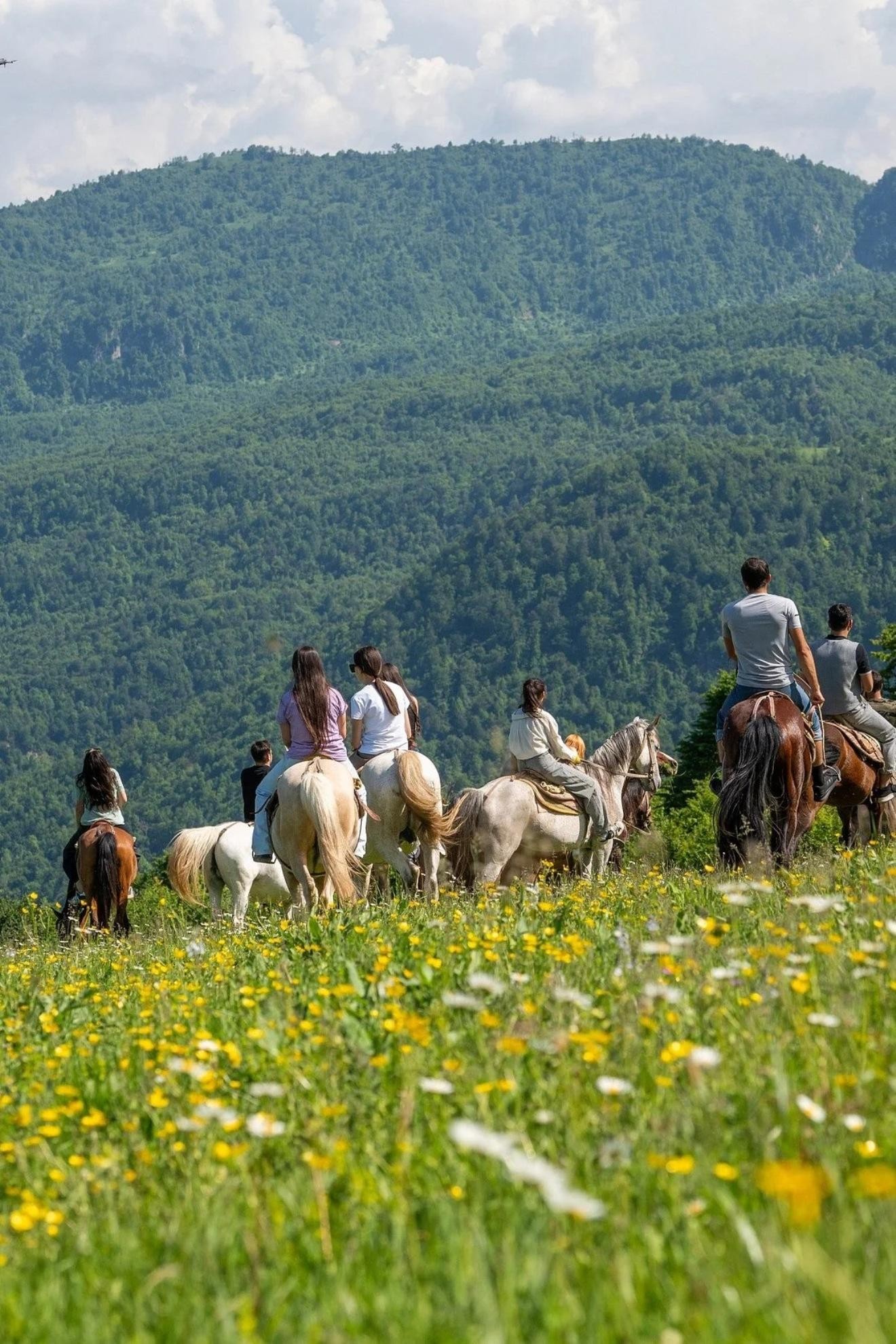 From Yerevan: Extreme Park Private Tour with Activities