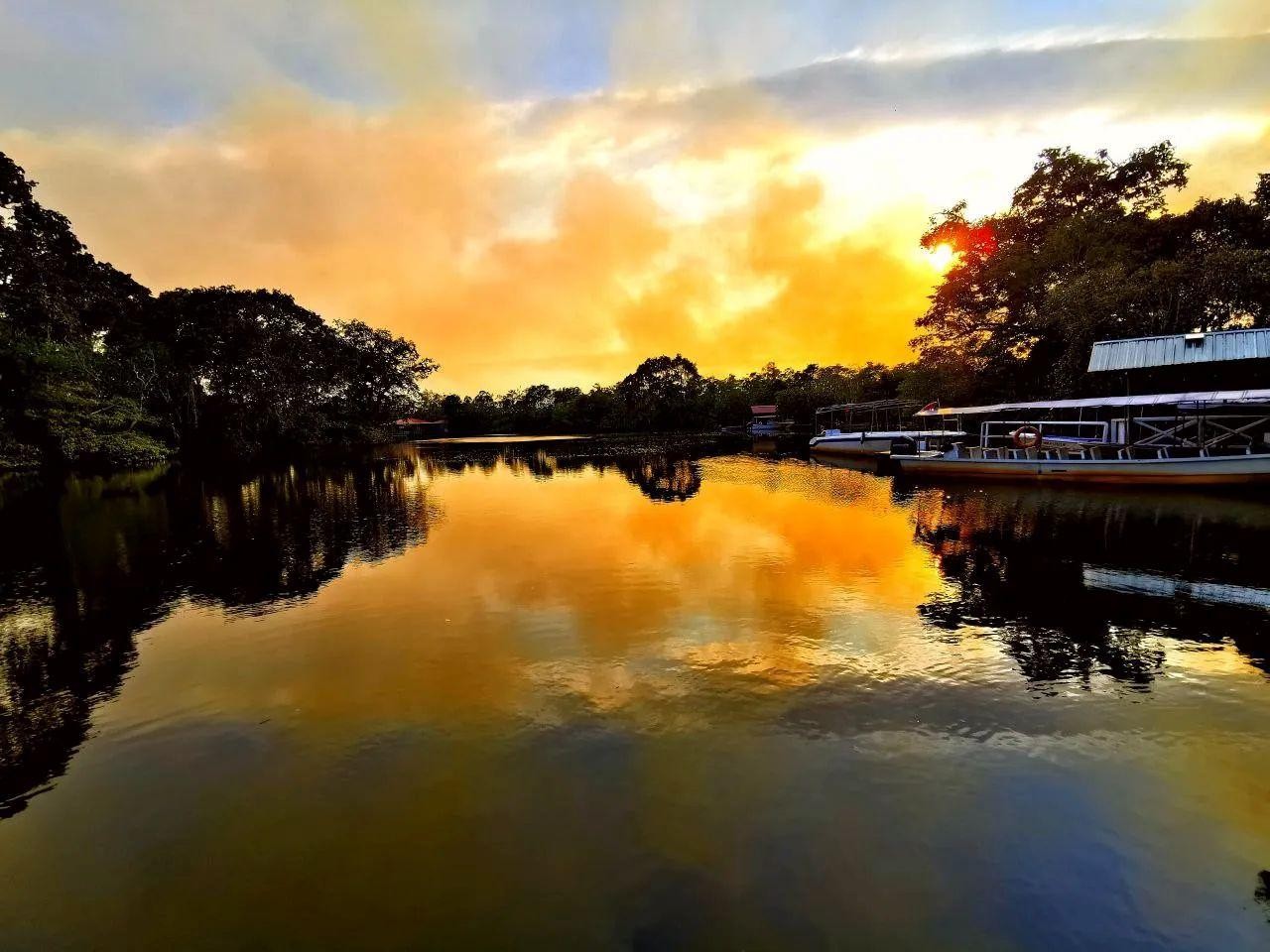 Kota Kinabalu: Klias River Cruise with Dinner & Transfers 2