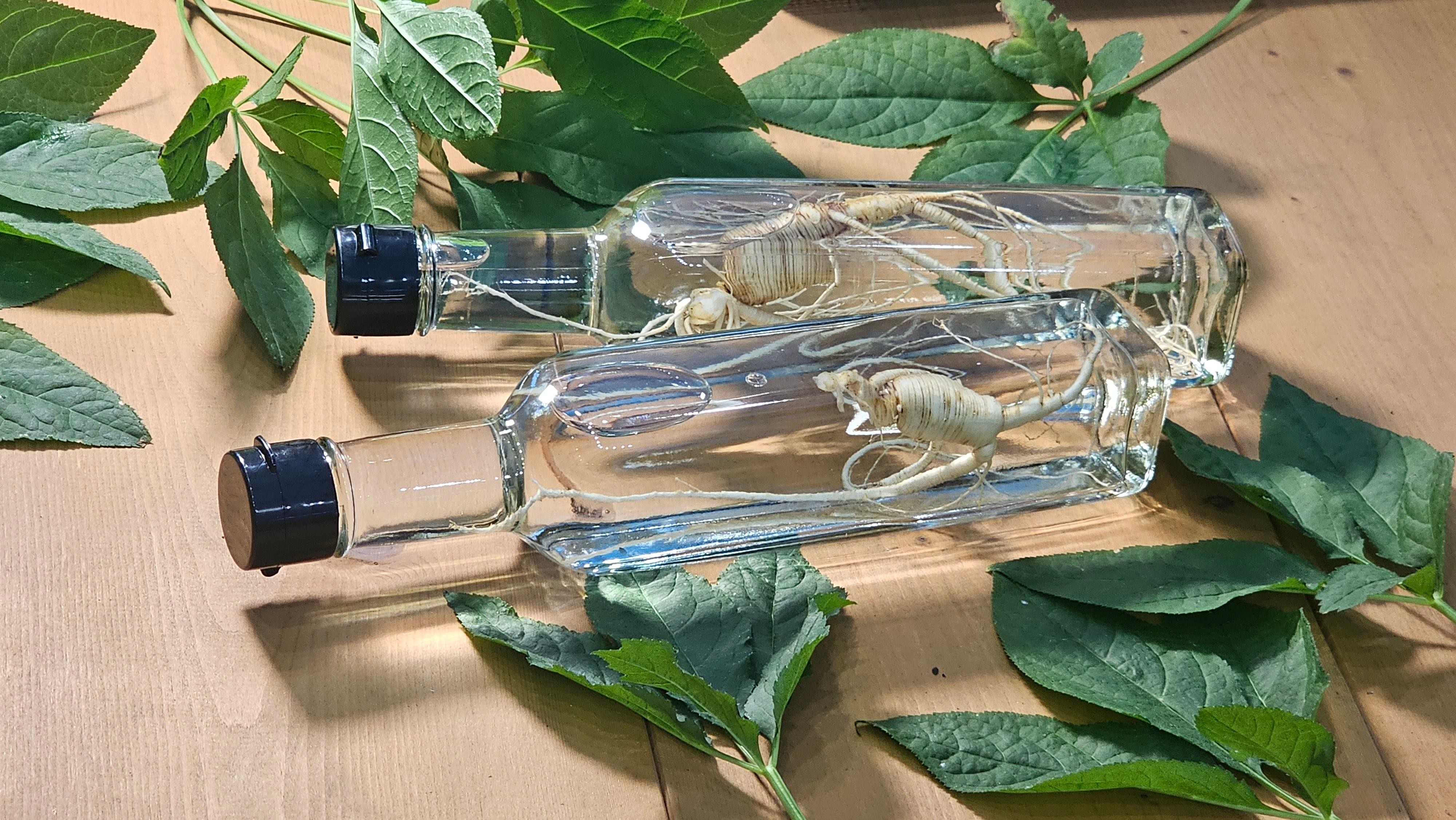 From Seoul: Make Your Own Chilli Paste & Ginseng Liquor Tour 2