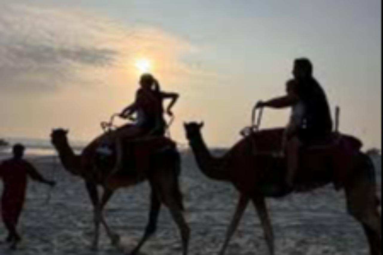 Salalah: Quad, Camel Riding , Horse Riding With Hotel Pickup 2