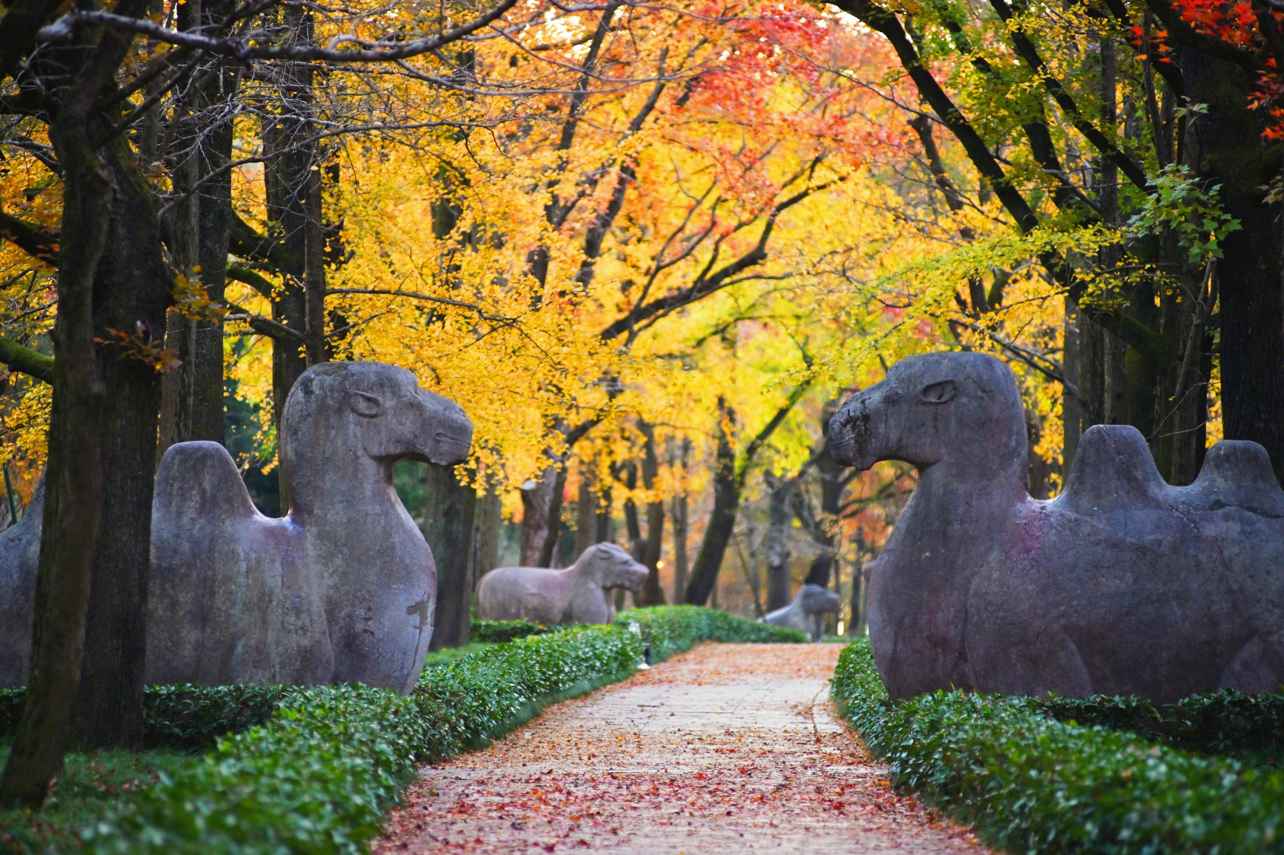 Nanjing: History & Qinhuai Night Private Day Tour 3
