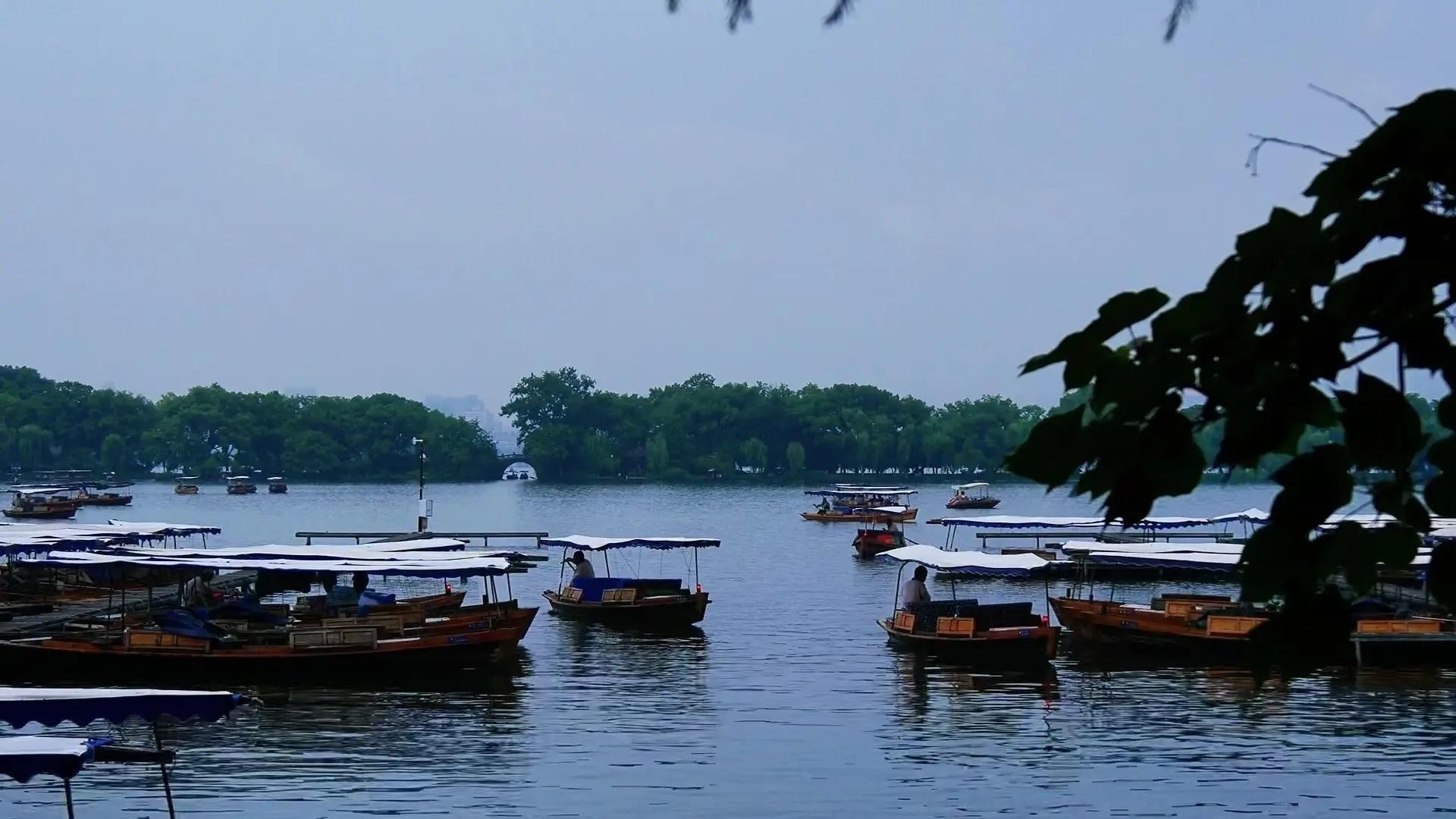 Shanghai to Hangzhou:Tea‑Picking & West Lake Day Tour 3