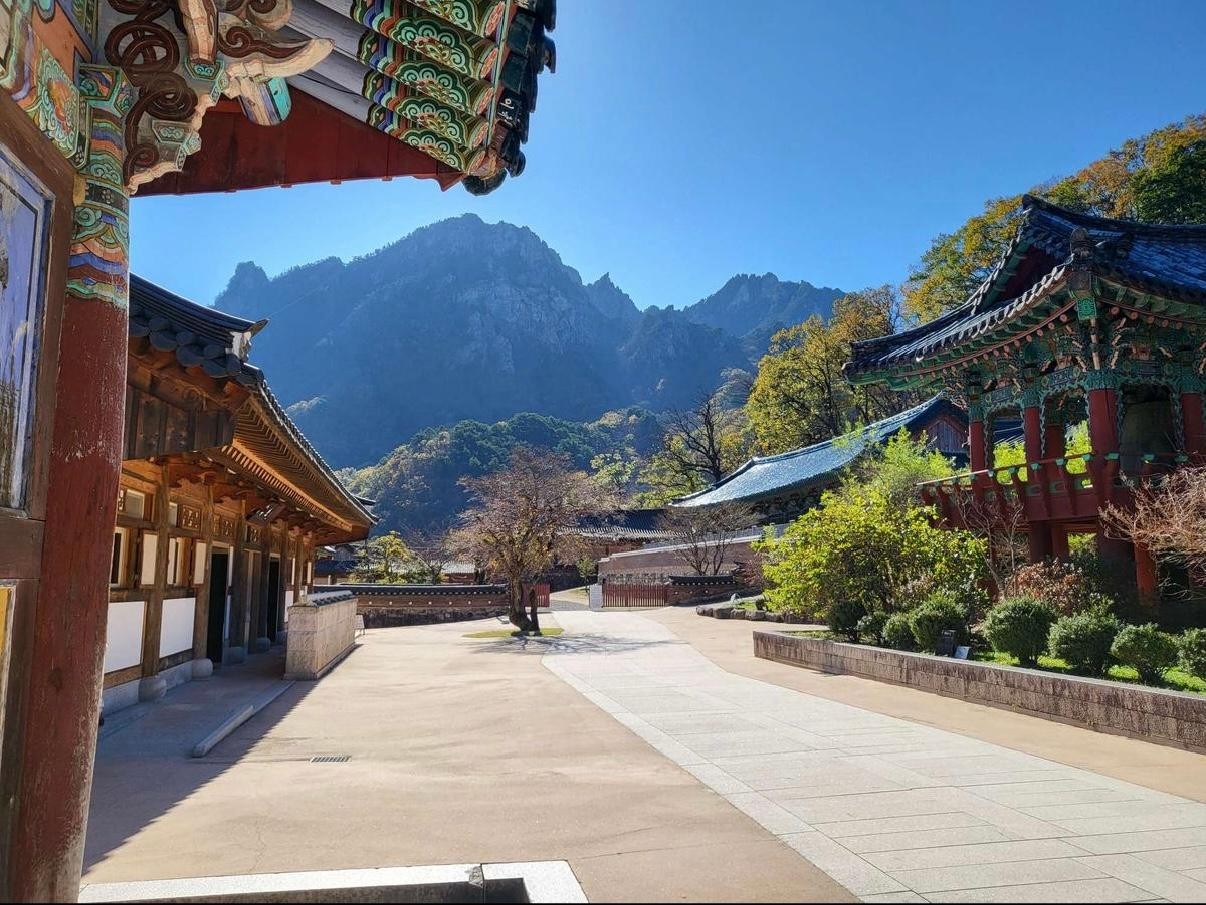 Seoul: Mt. Seorak & Nami island & Morning Calm Garden 3